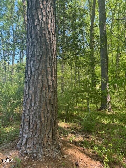 0 Hamlets Chapel Road