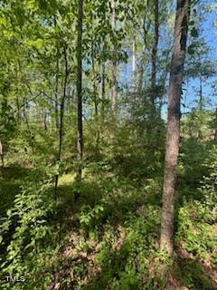 0 Hamlets Chapel Road