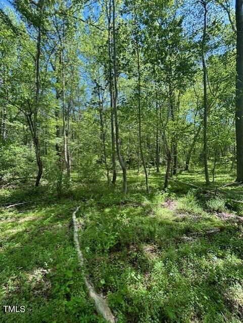 0 Hamlets Chapel Road