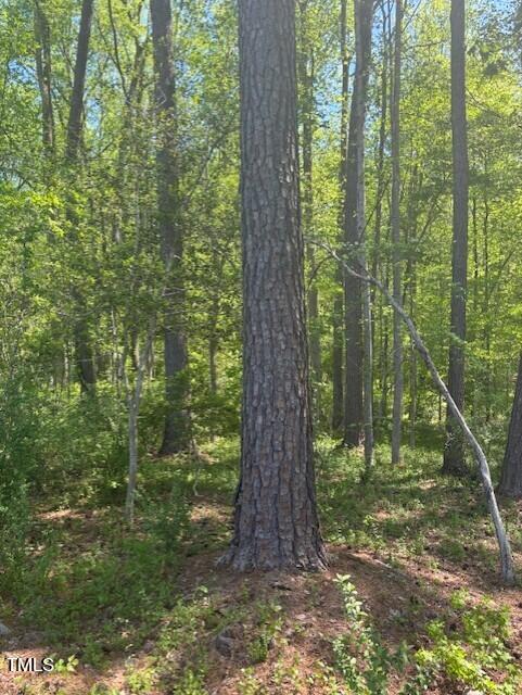 0 Hamlets Chapel Road