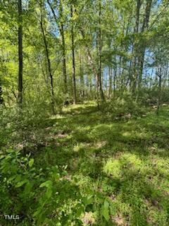 0 Hamlets Chapel Road