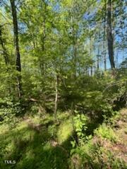 0 Hamlets Chapel Road