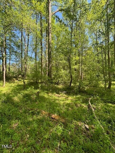 0 Hamlets Chapel Road