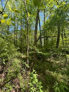 0 Hamlets Chapel Road