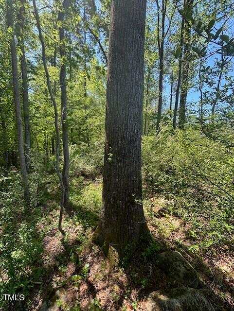 0 Hamlets Chapel Road