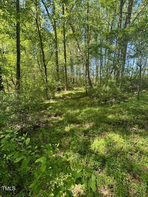 0 Hamlets Chapel Road