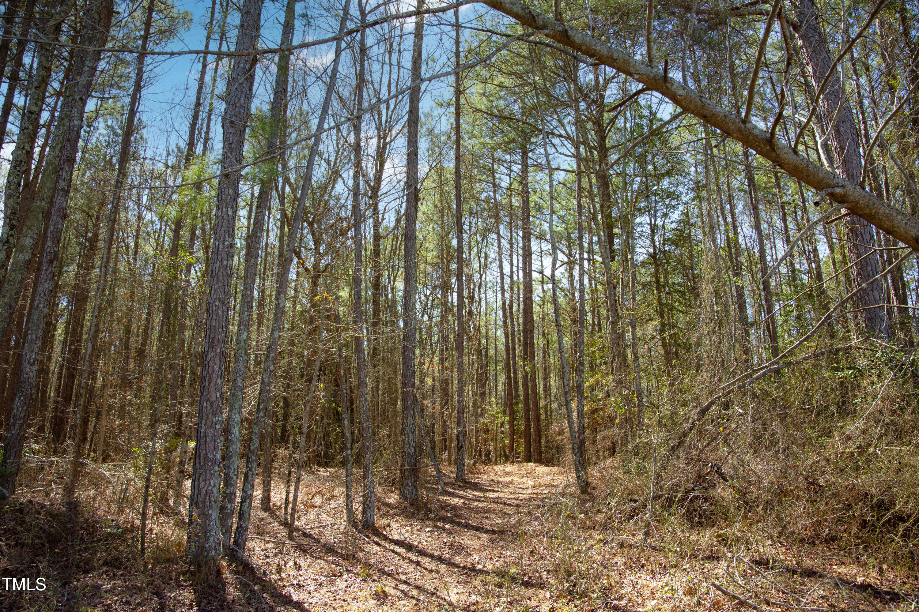 3745 Barbecue Church Road