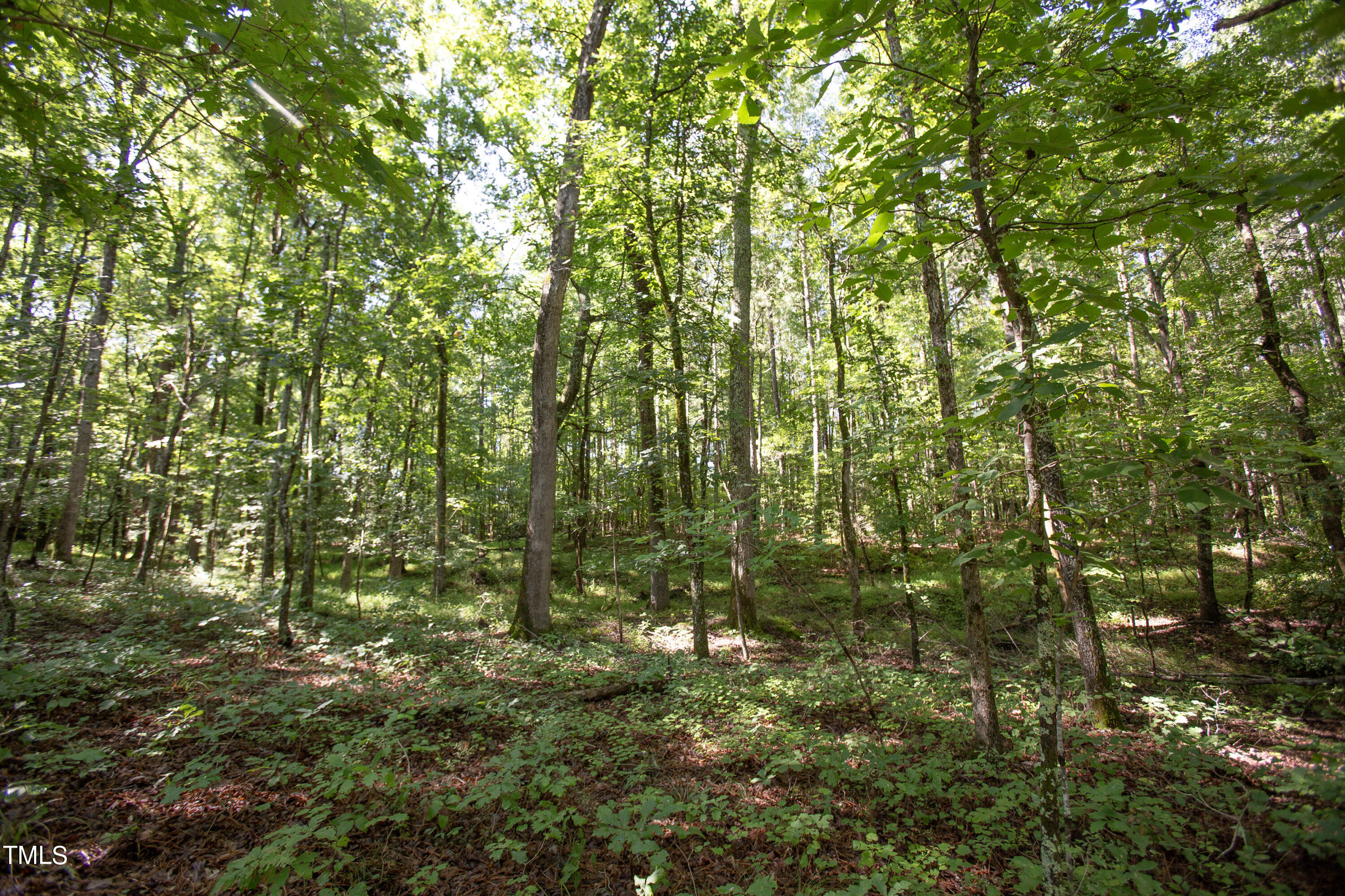 514 Highland Road
