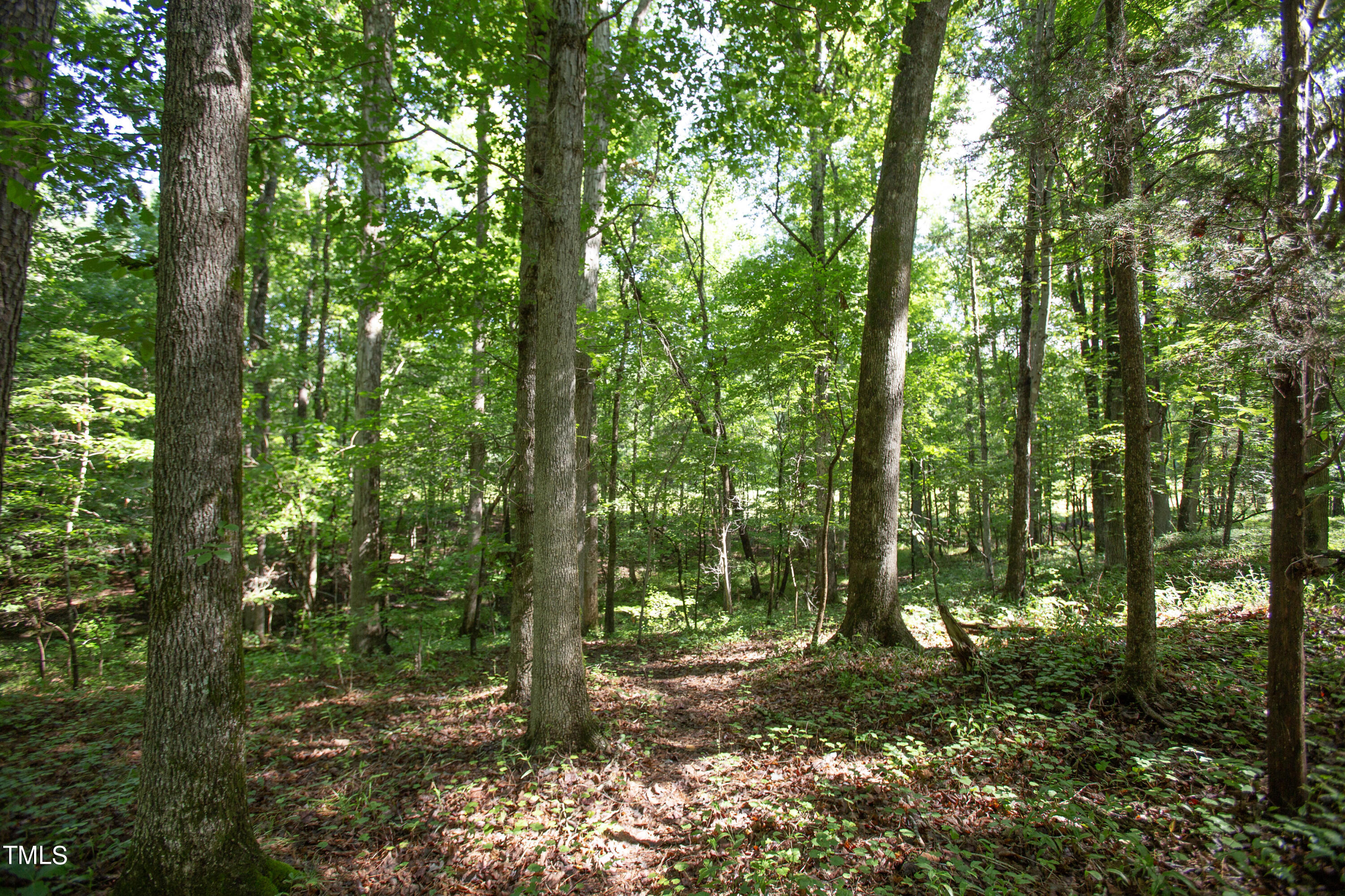 514 Highland Road