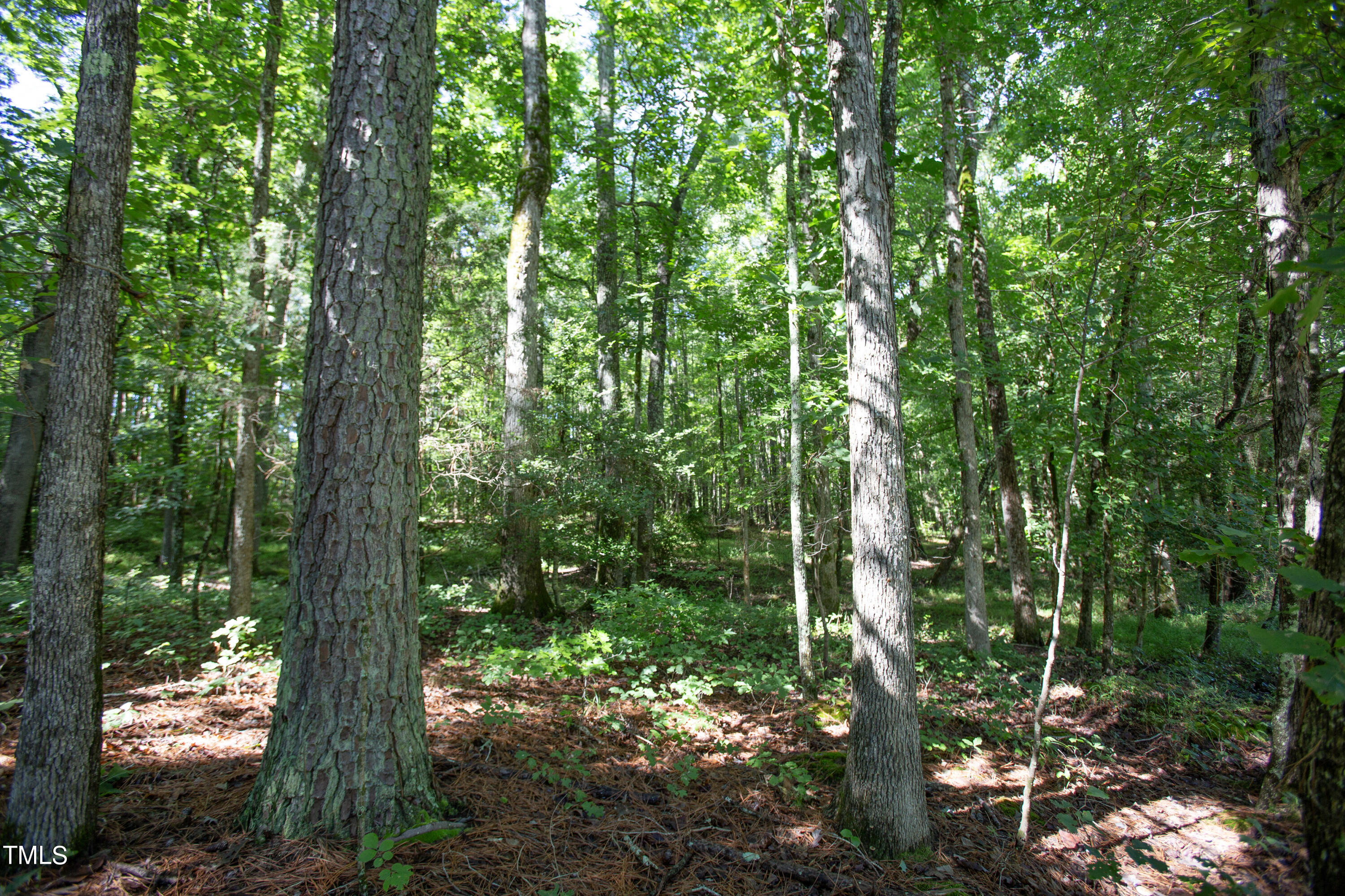 514 Highland Road