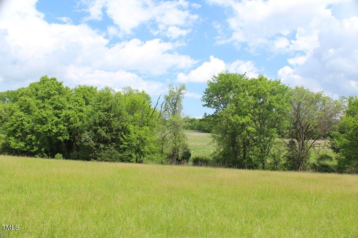 03 Bill Compton Road