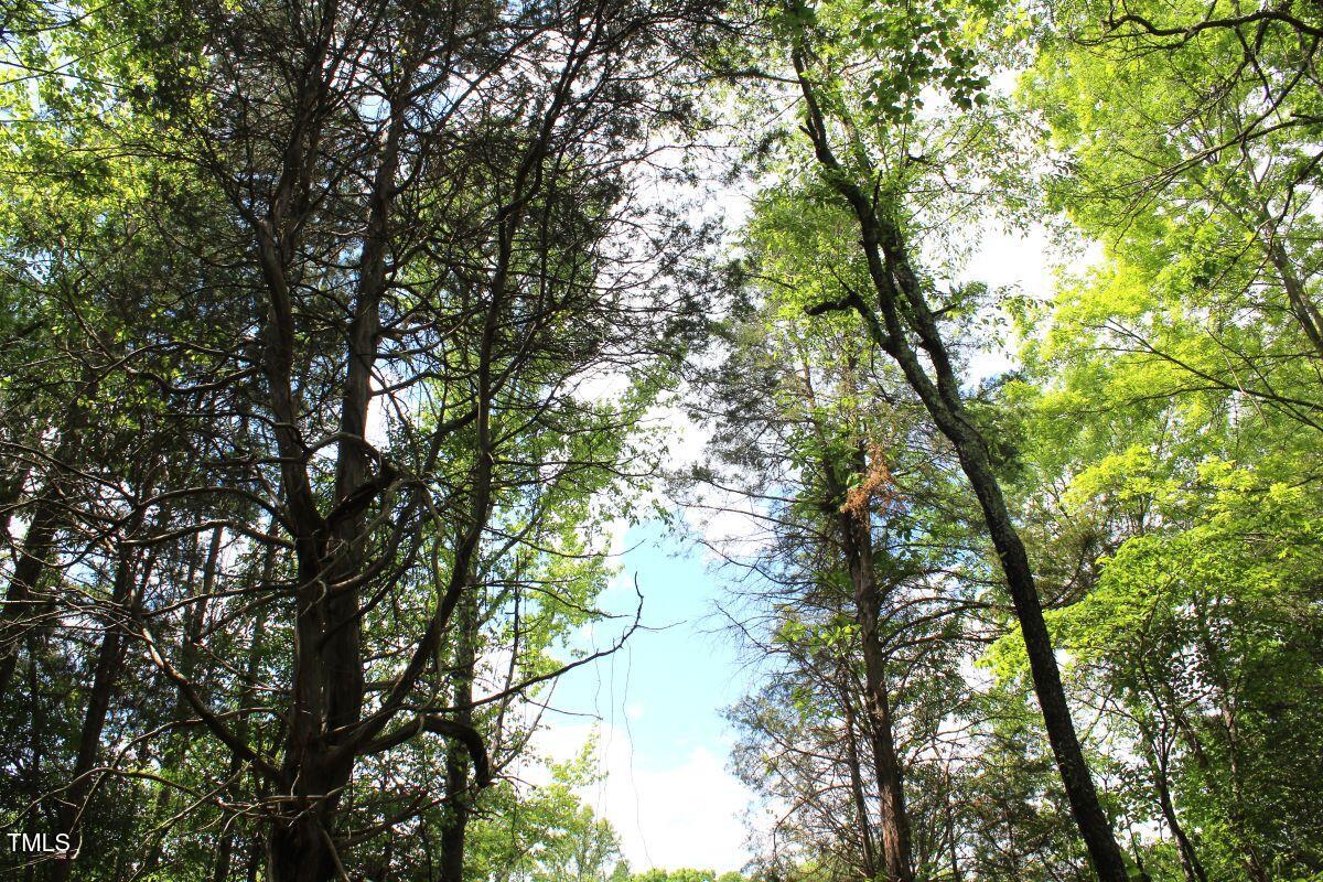 03 Bill Compton Road