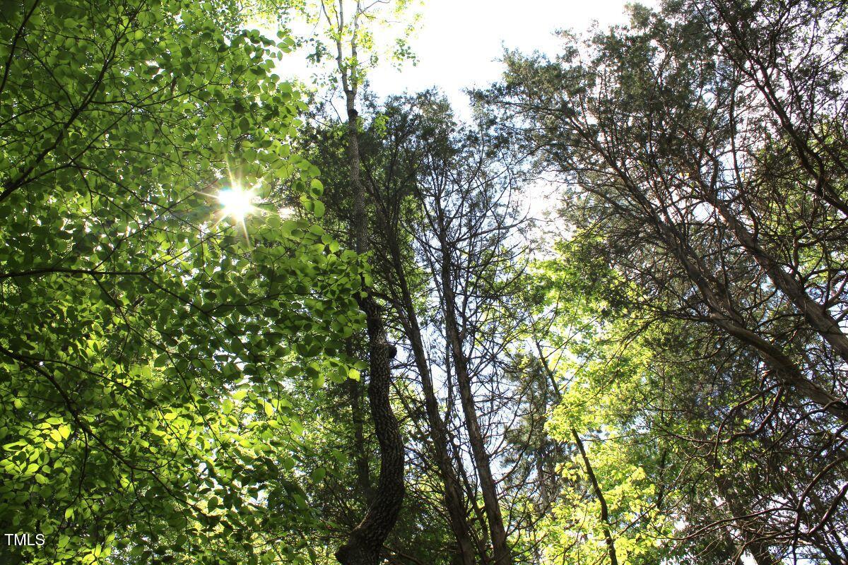 03 Bill Compton Road