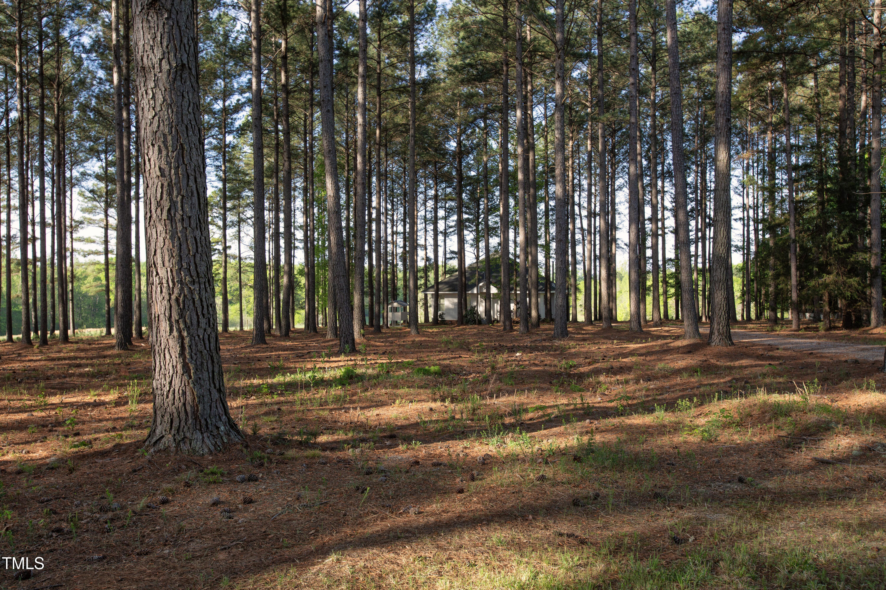 480 Deer Hollow