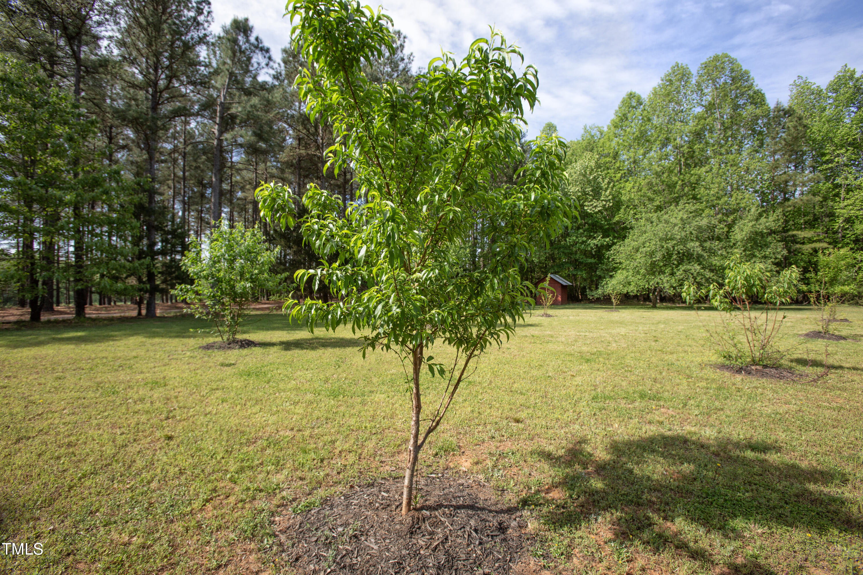 480 Deer Hollow