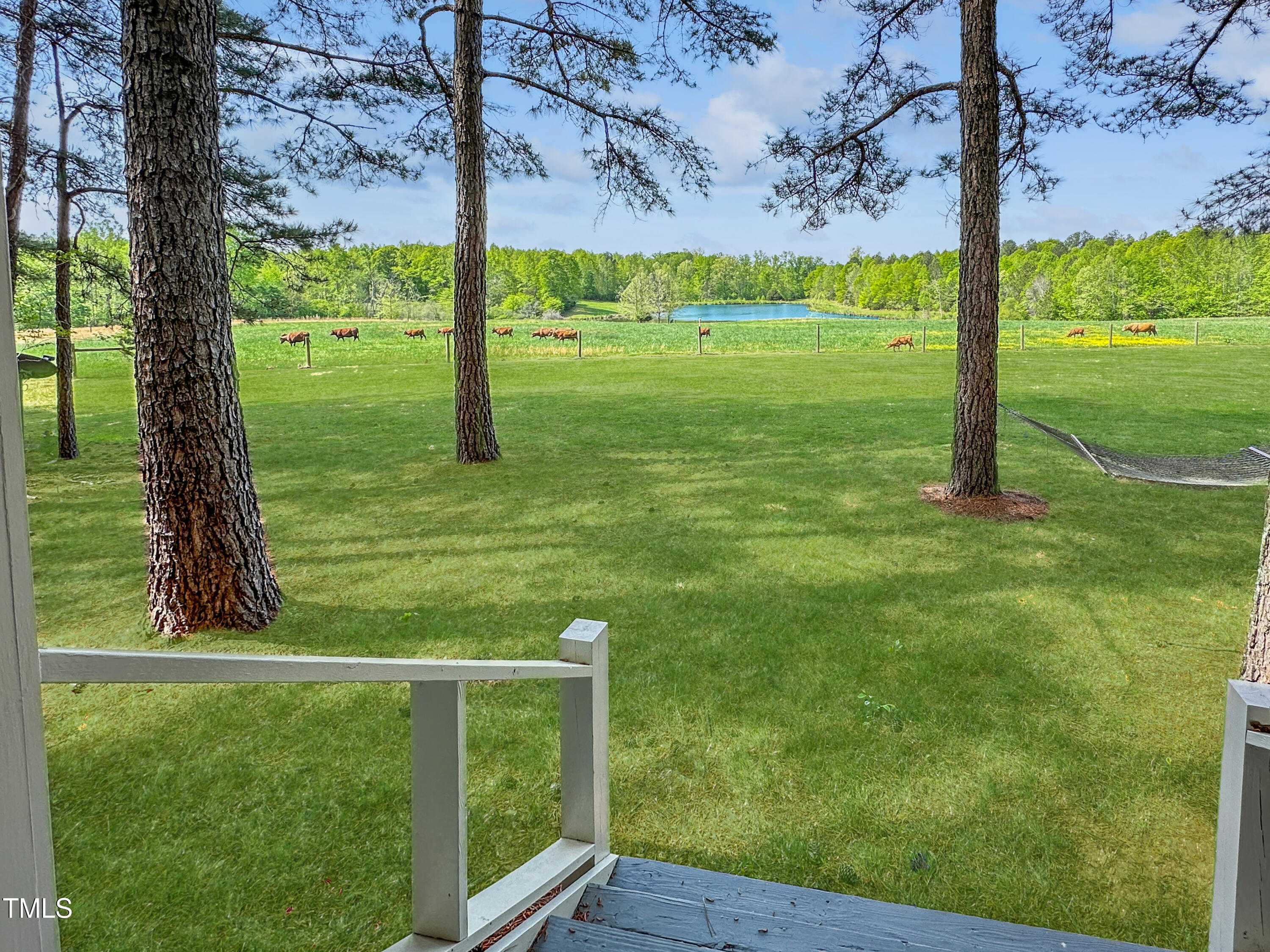 480 Deer Hollow