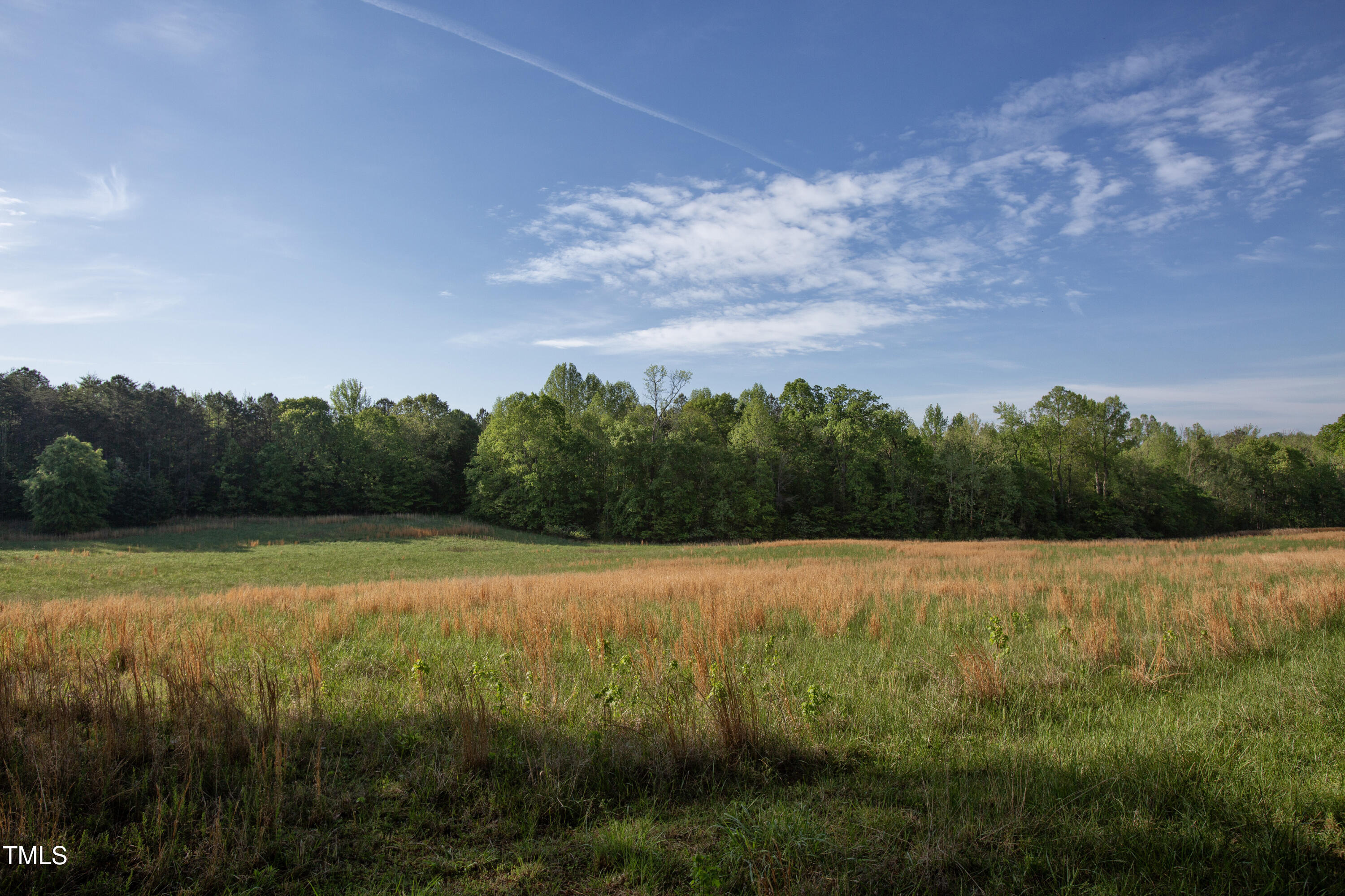 480 Deer Hollow