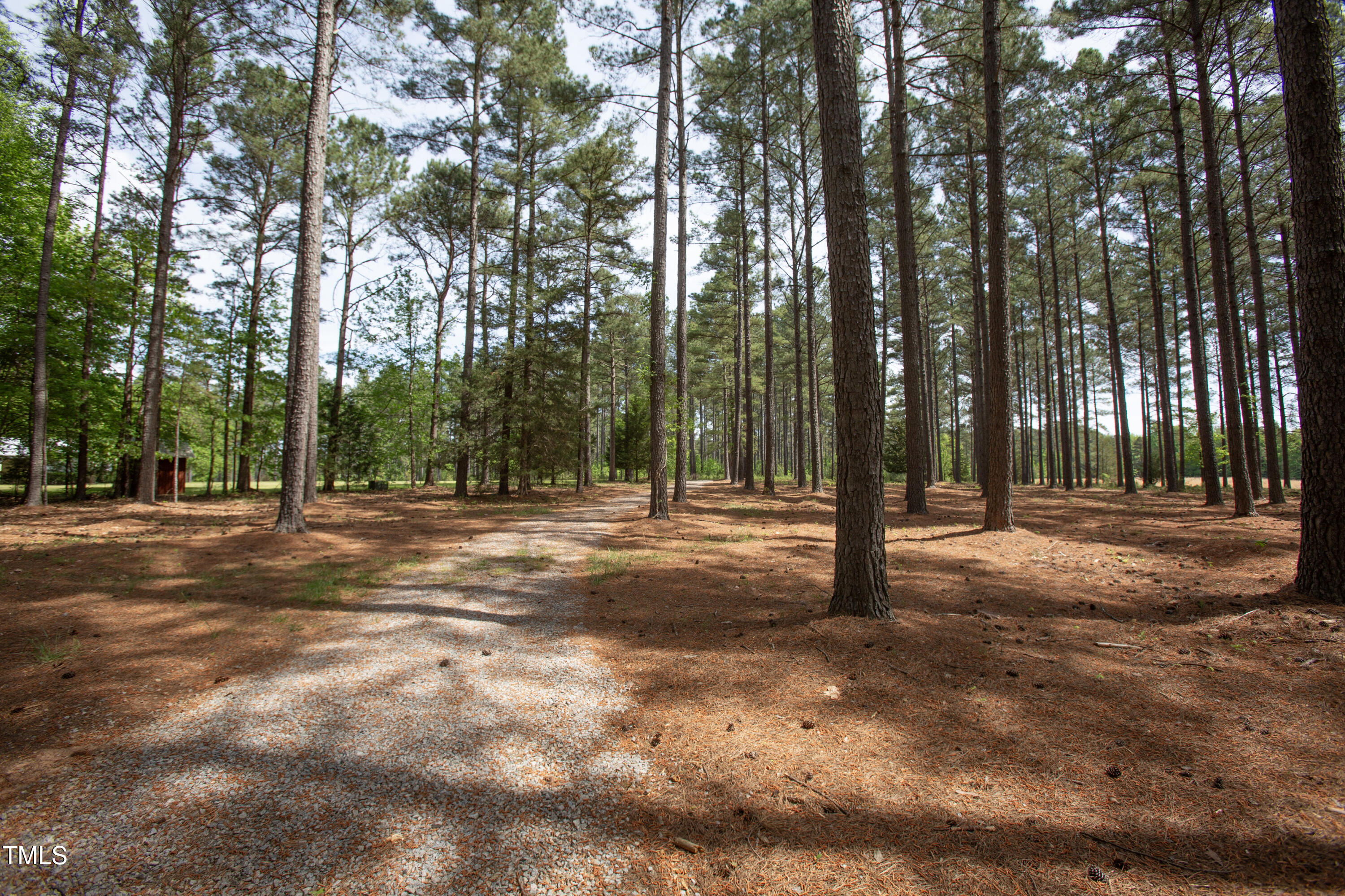 480 Deer Hollow