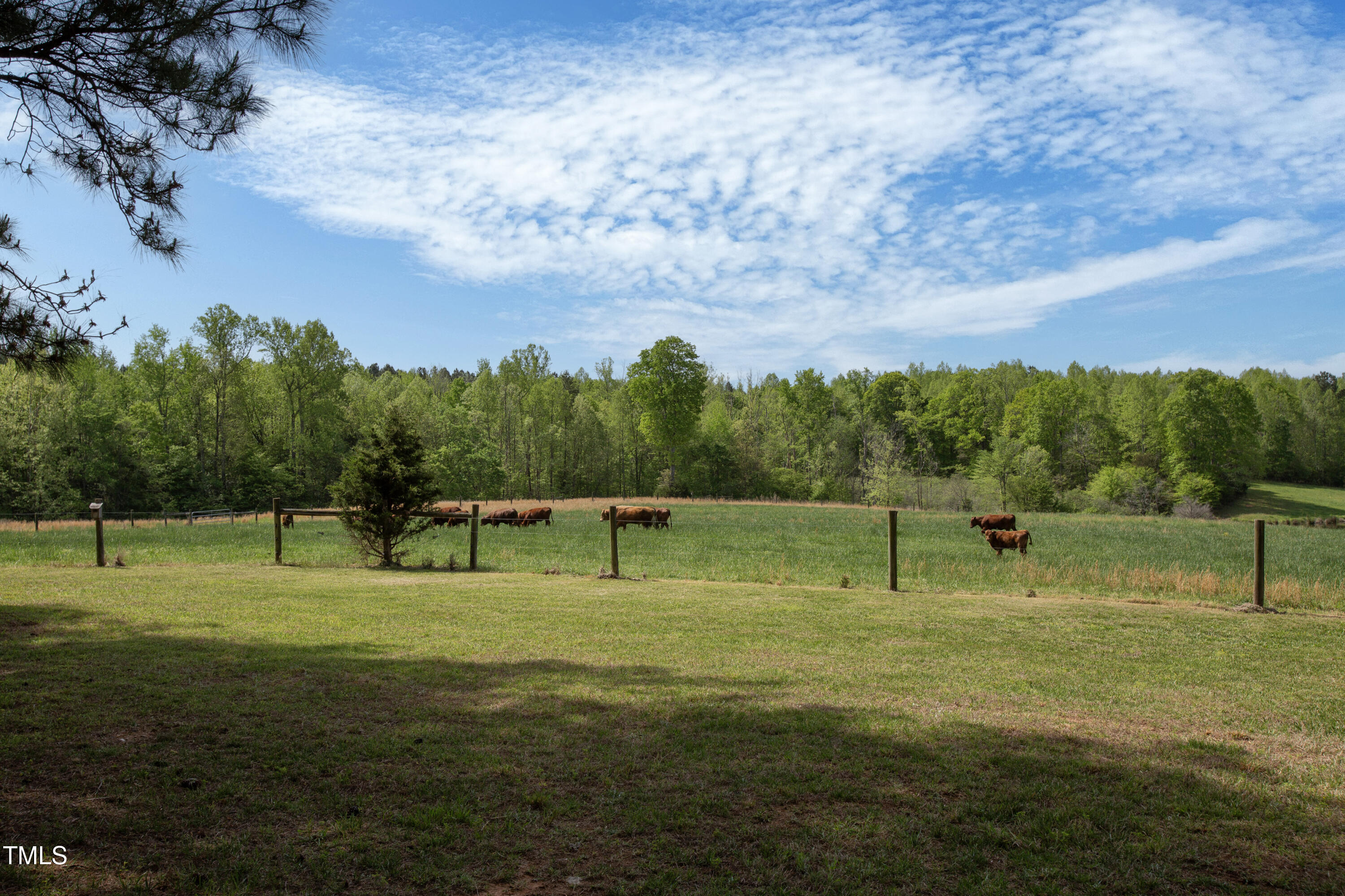 480 Deer Hollow