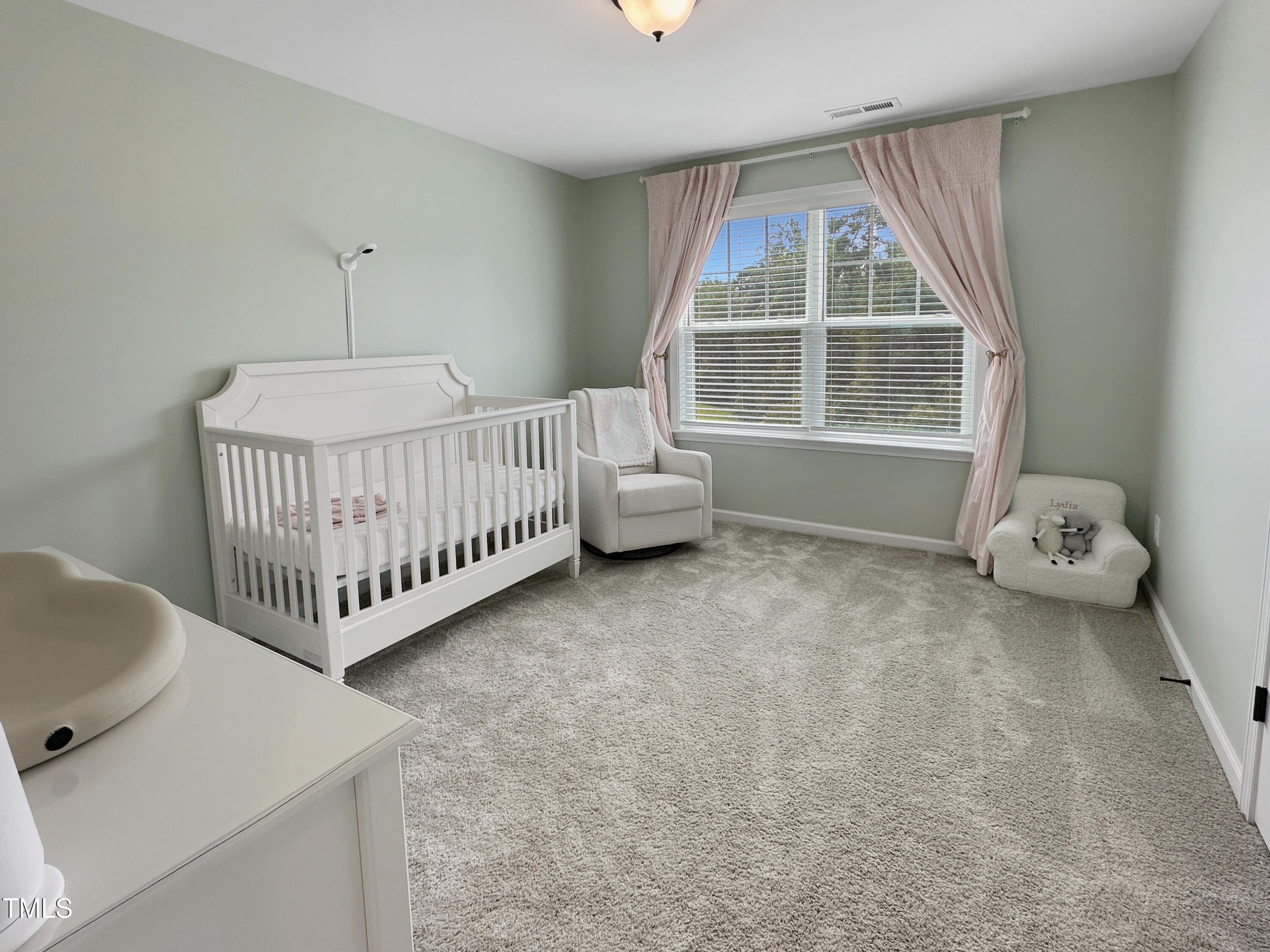 2438 Braxton Wood Lane