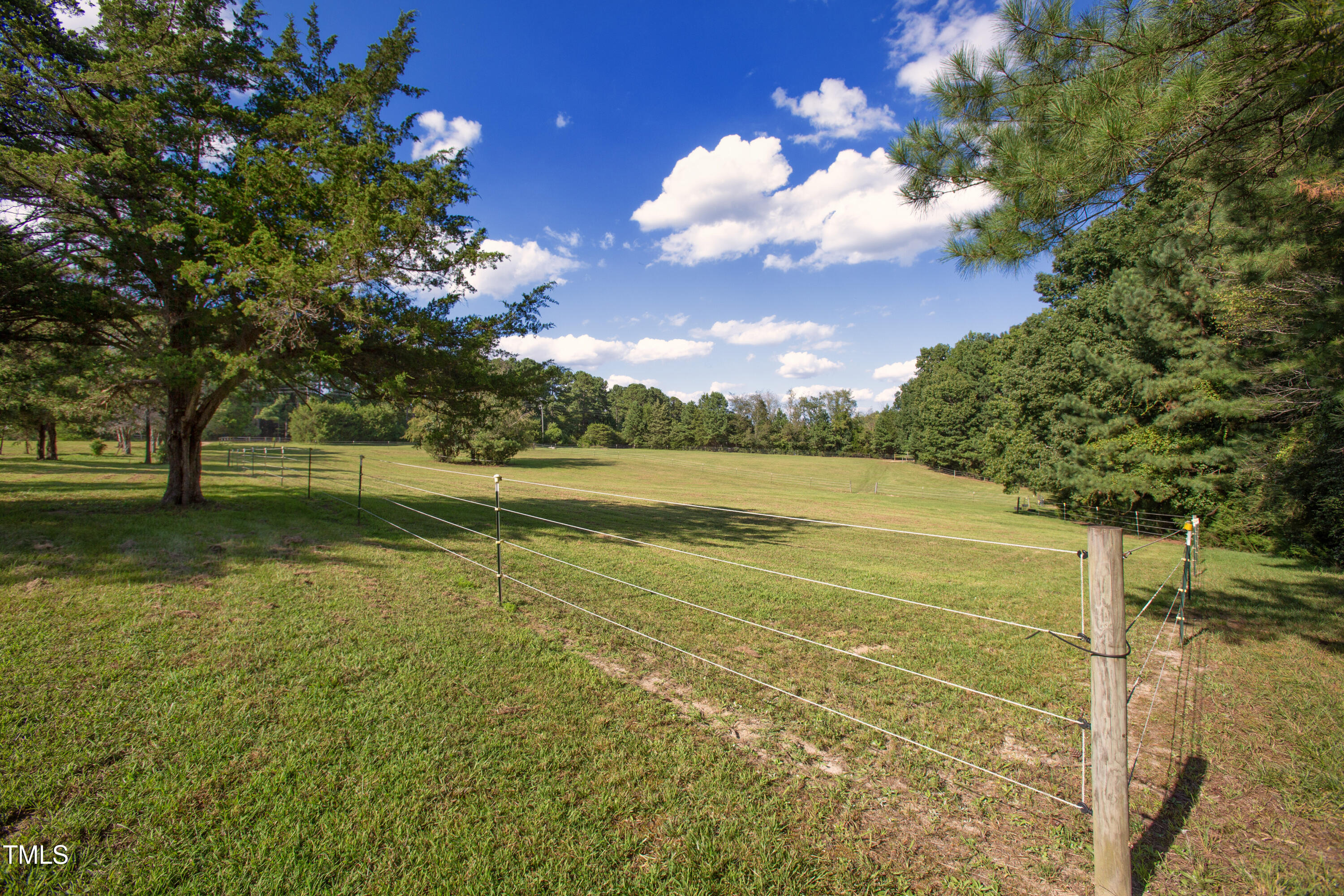 1608 Brassfield