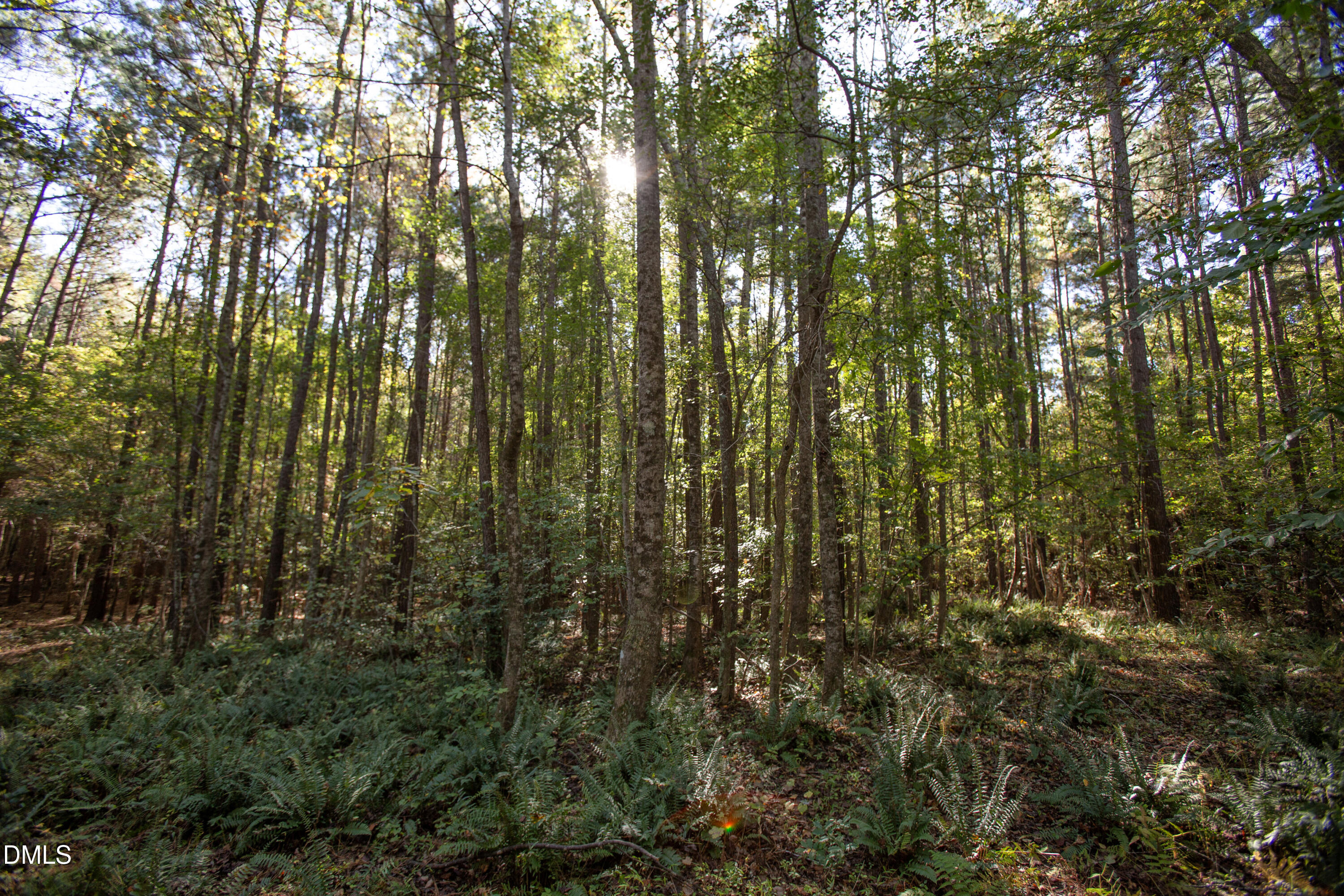 251 Red Wells Road, Spring Hope
