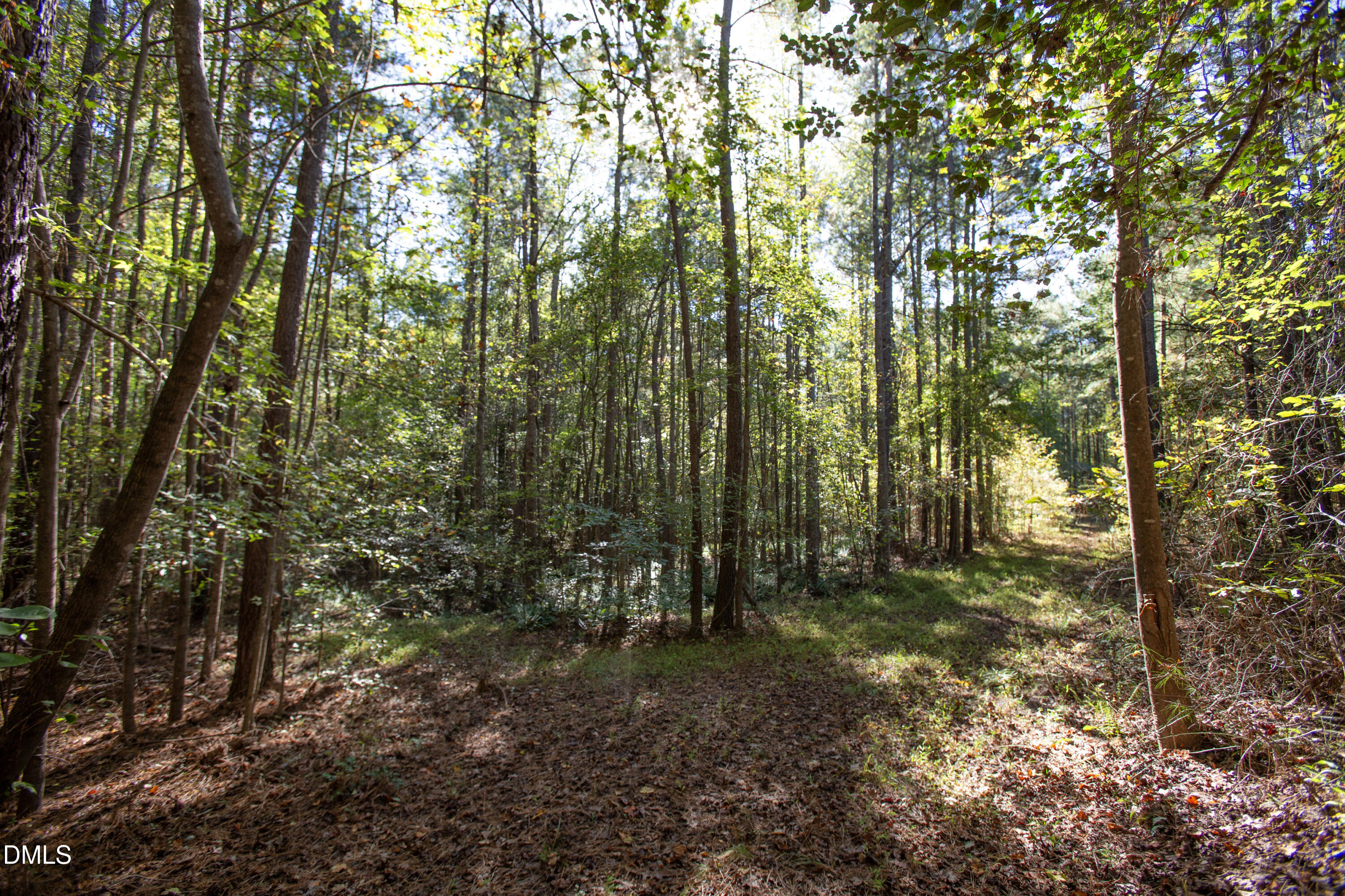 251 Red Wells Road, Spring Hope