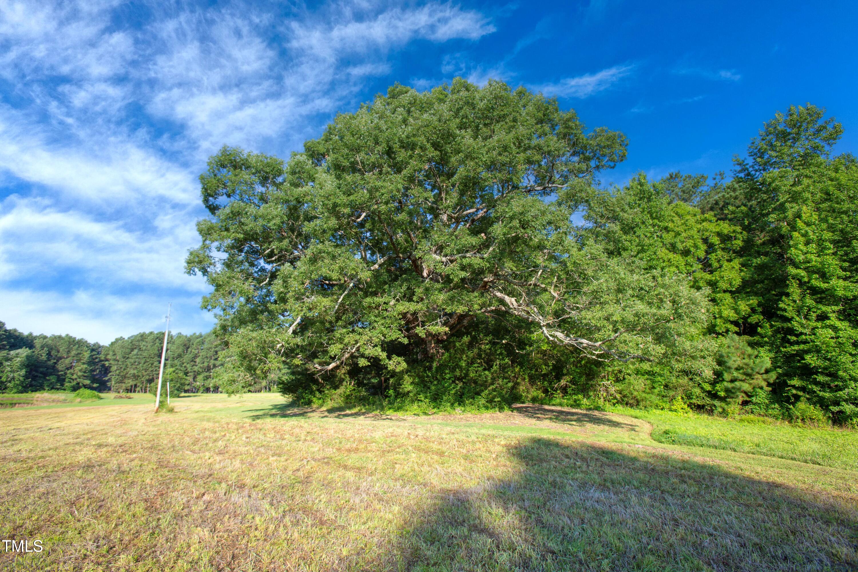 11633 Louisburg Road