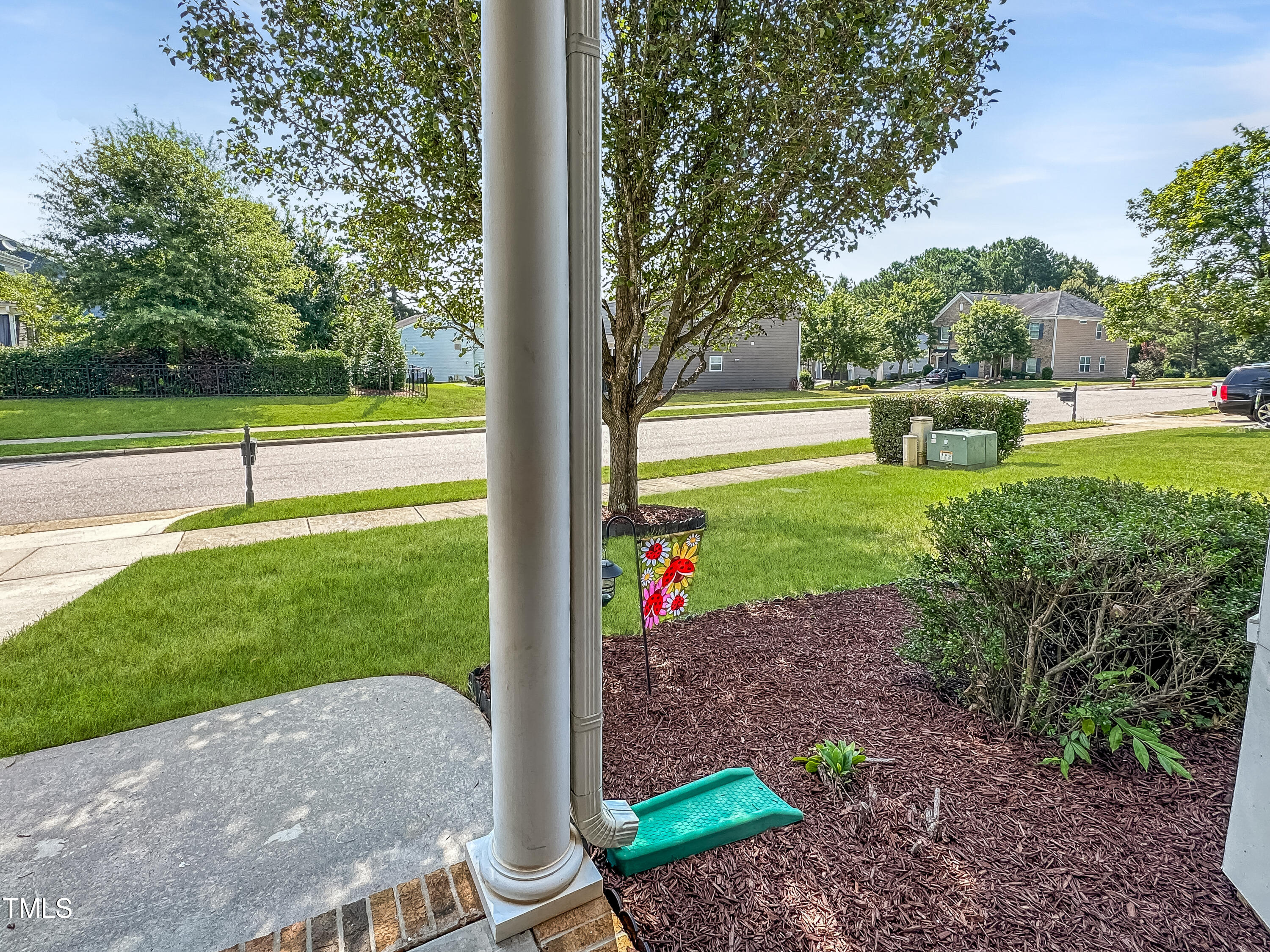 804 Blue Thorn Drive