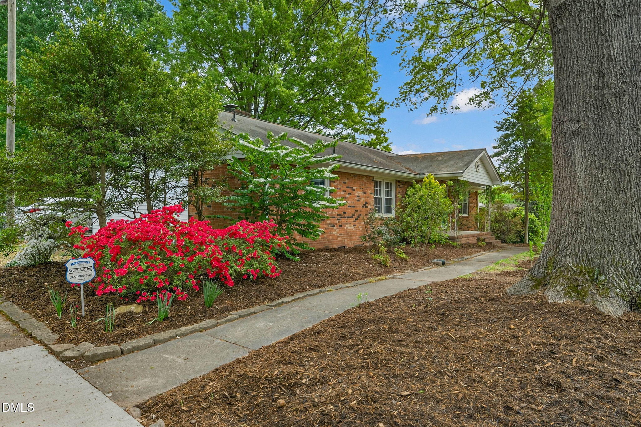 339 Olive Branch Road