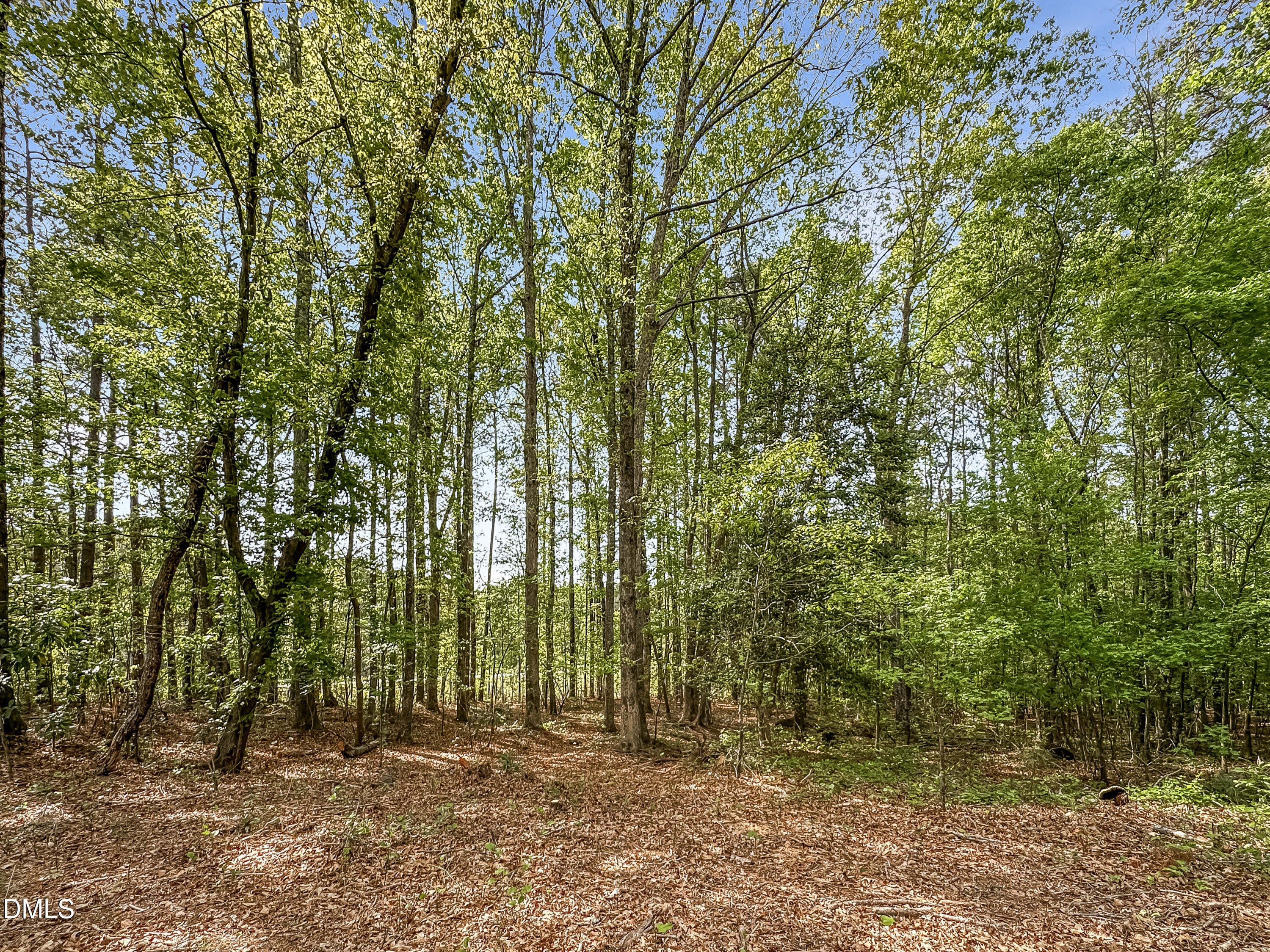 5026 Us 401 Highway S