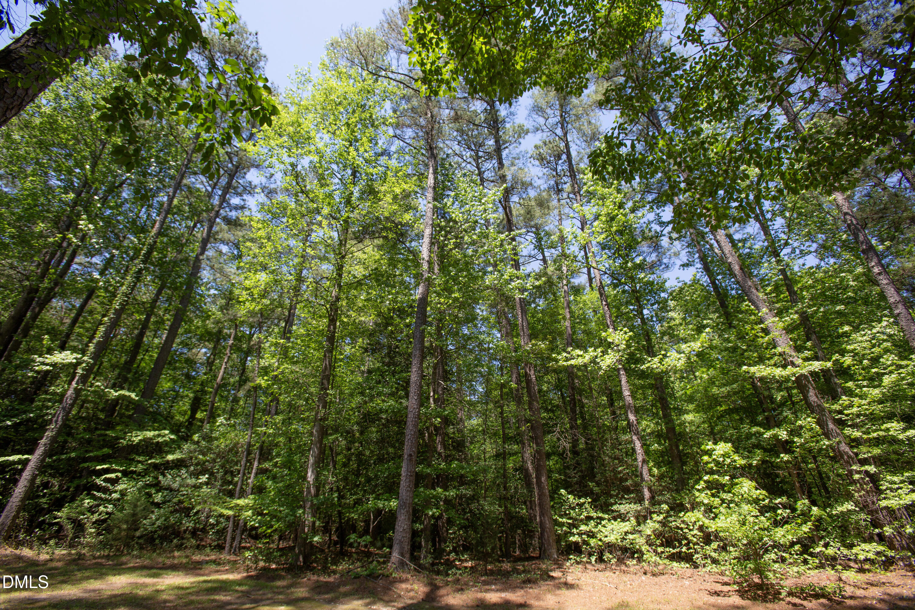 3005 Horse Shoe Farm Road