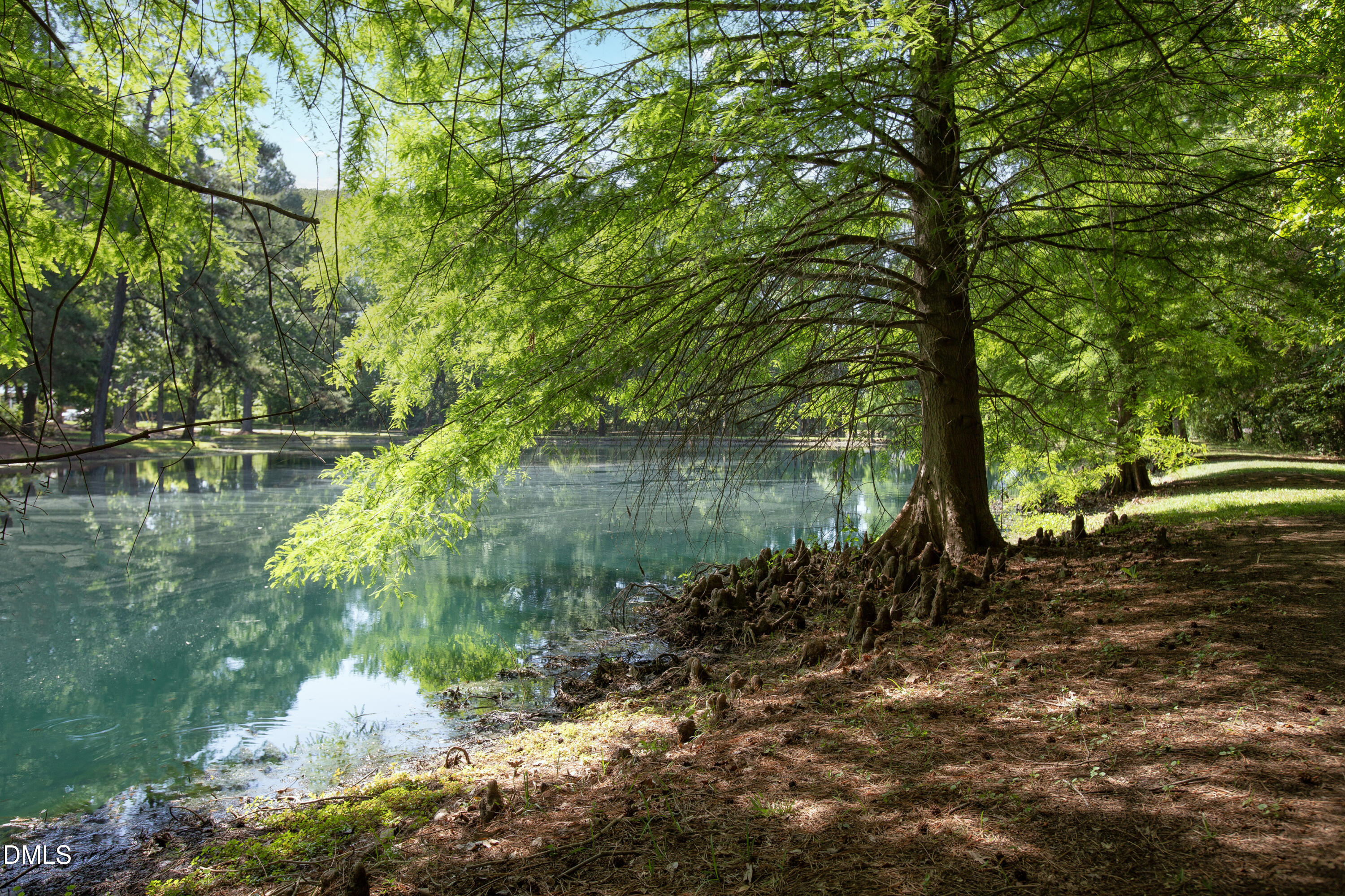 1208 Lake Glad Road
