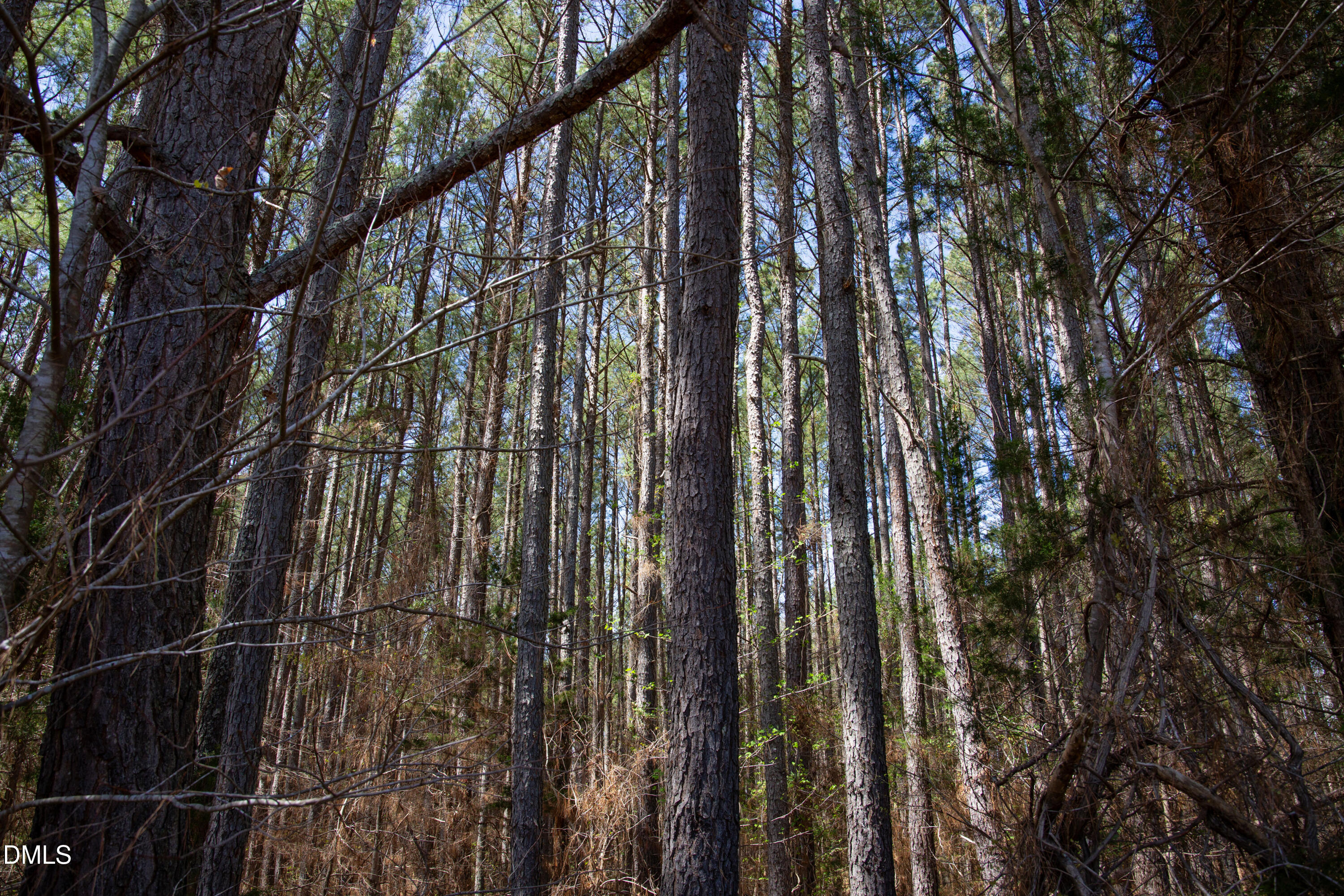00 19 Acs Doll Branch Road