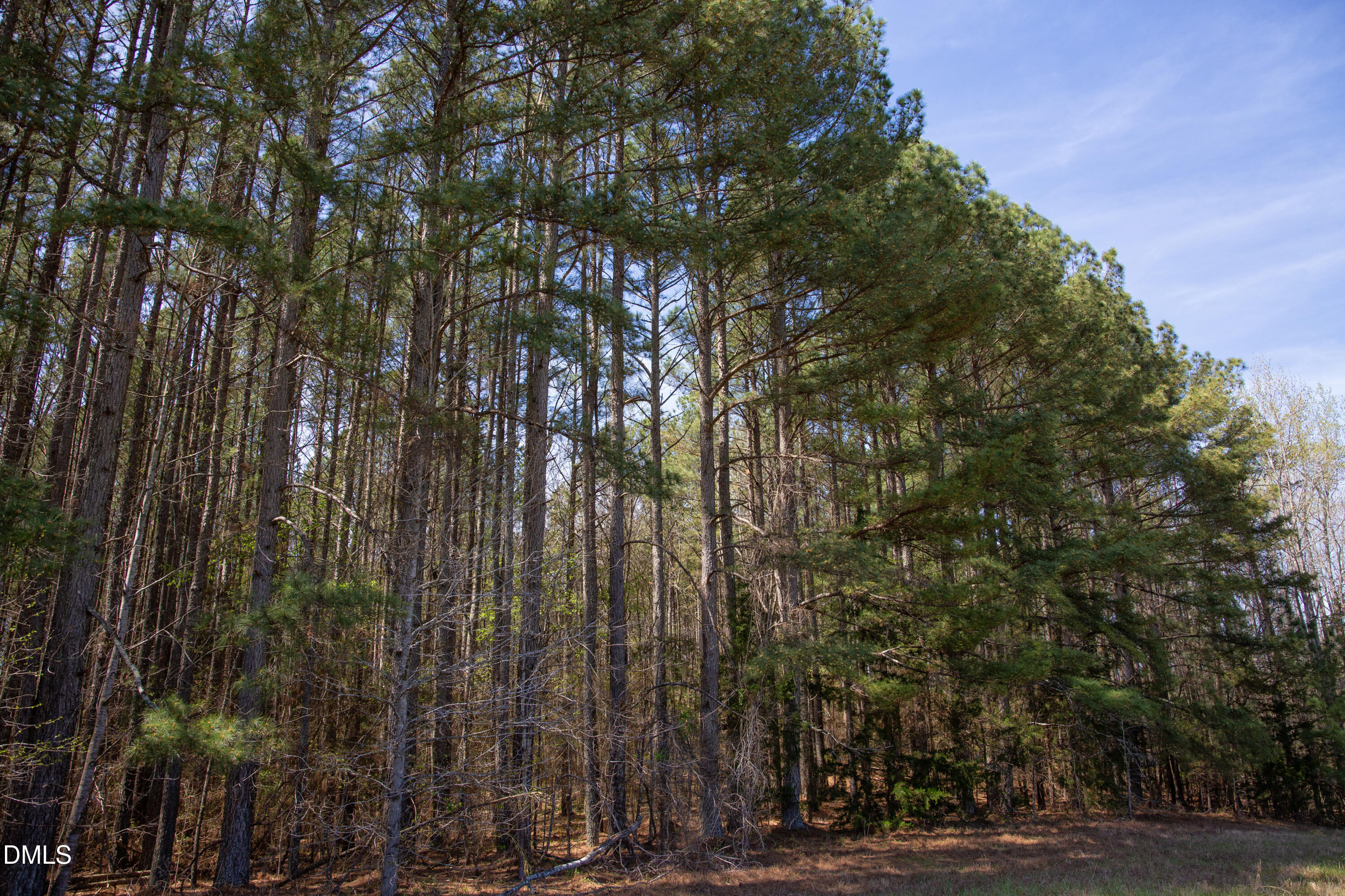 00 19 Acs Doll Branch Road