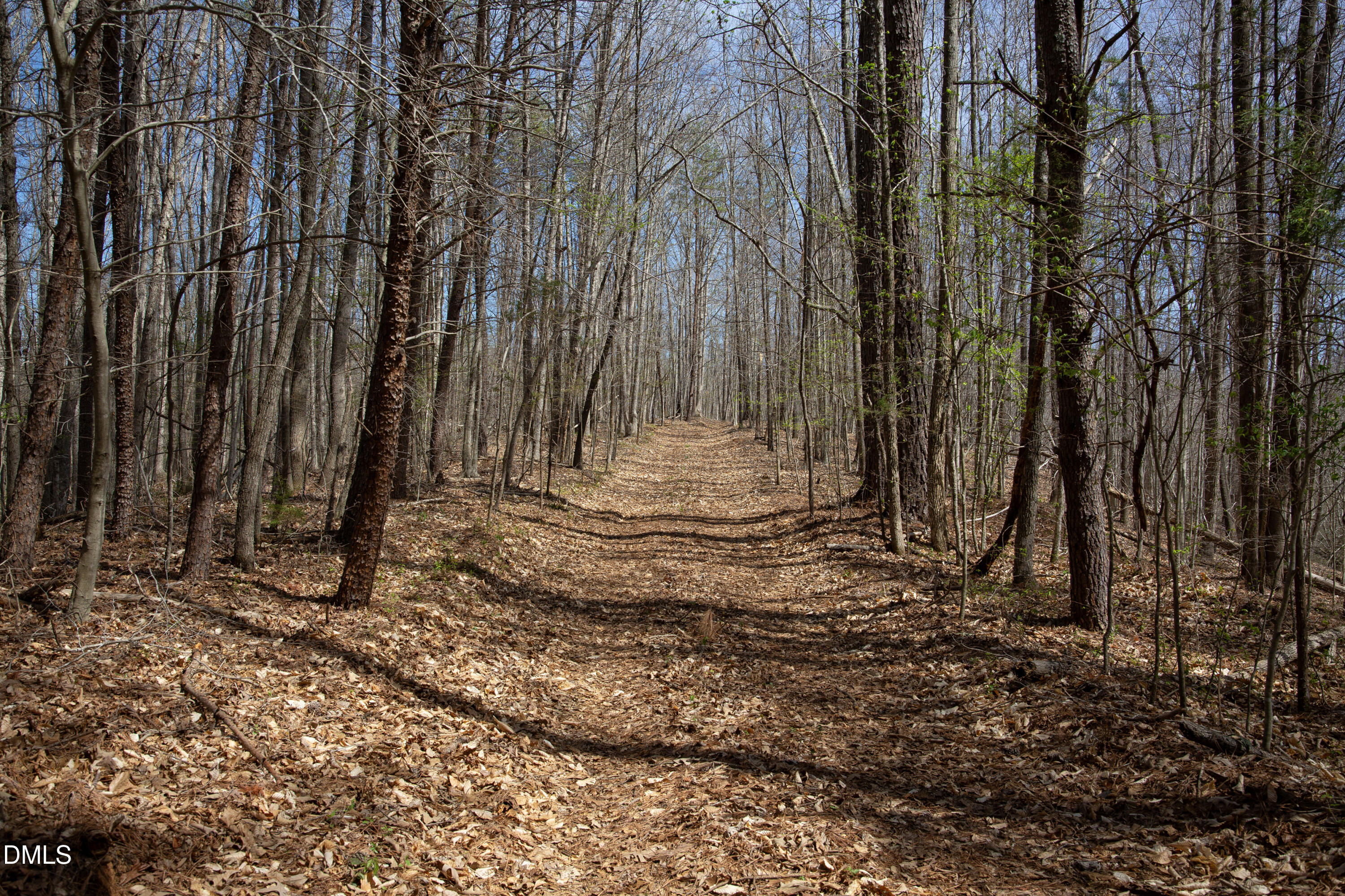 0 Doll Branch Road