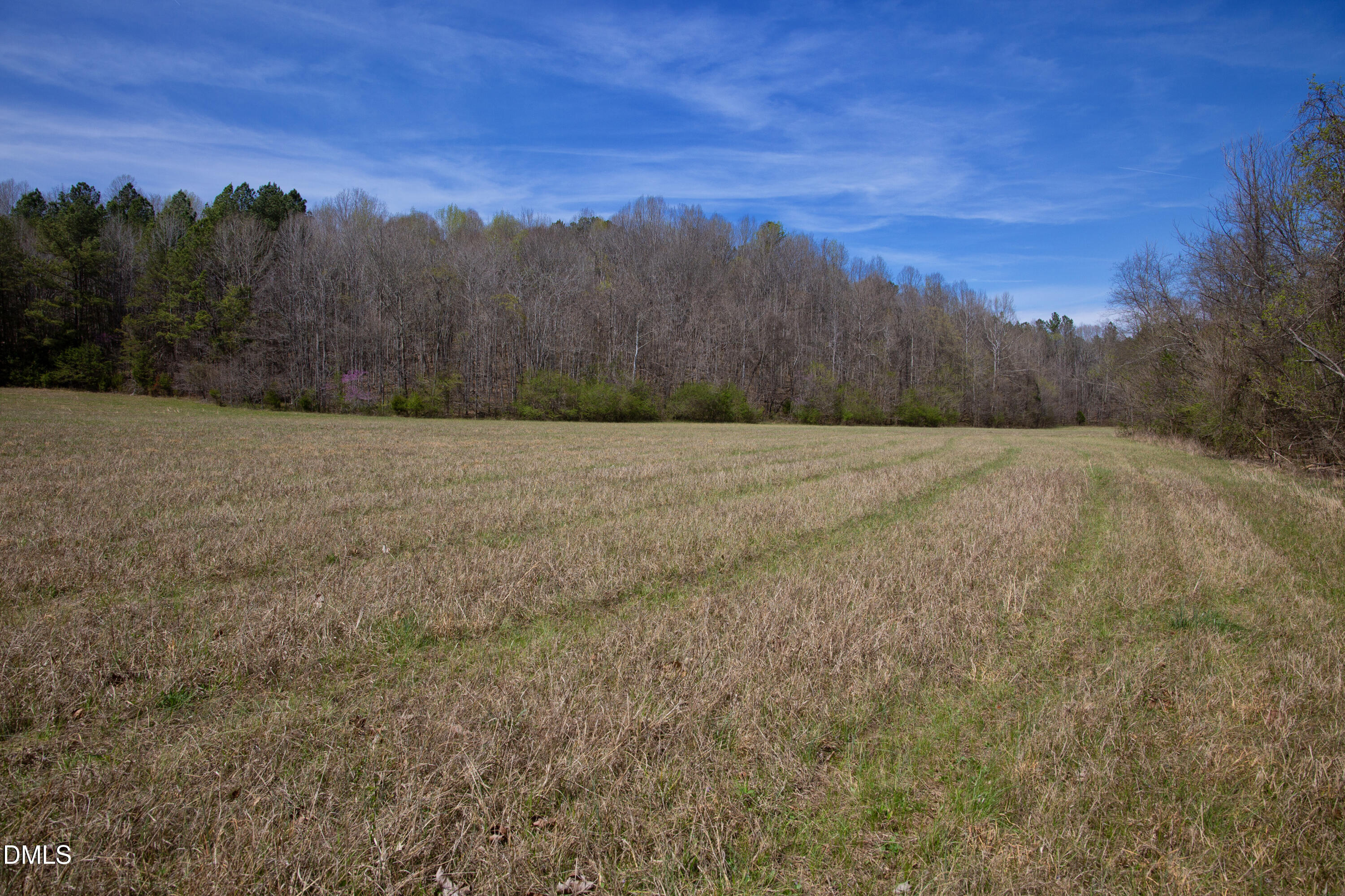 0 Doll Branch Road
