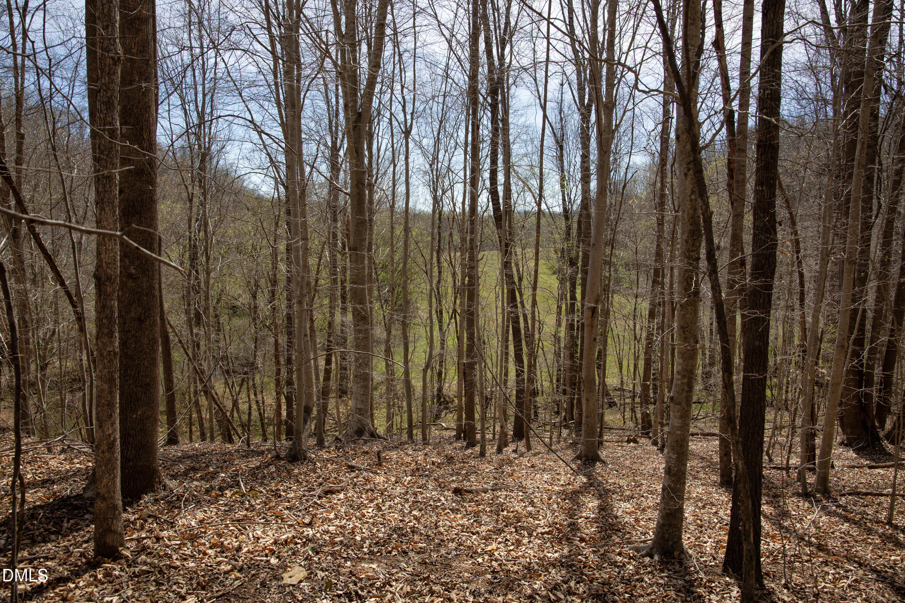 0 Doll Branch Road