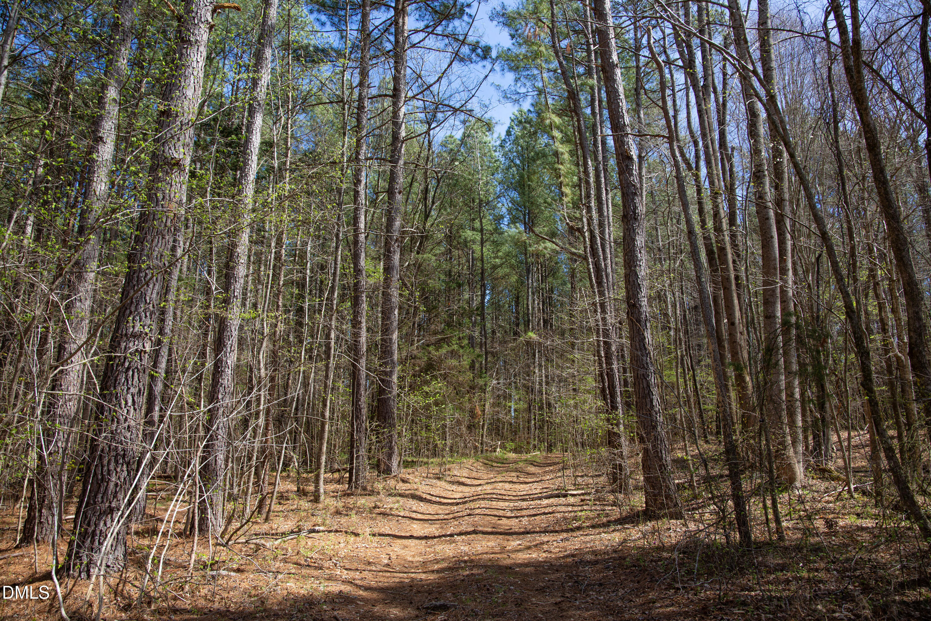 0 Doll Branch Road