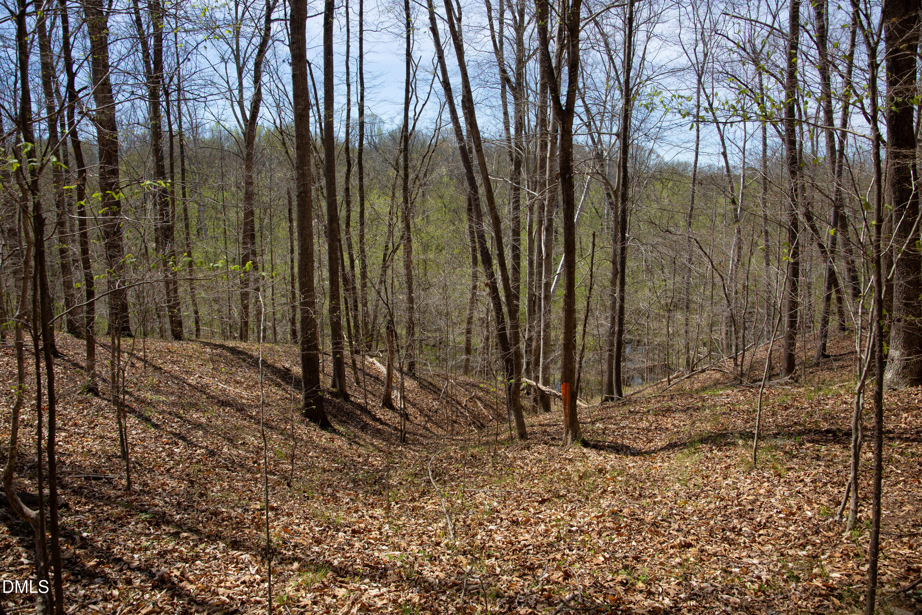 0 Doll Branch Road