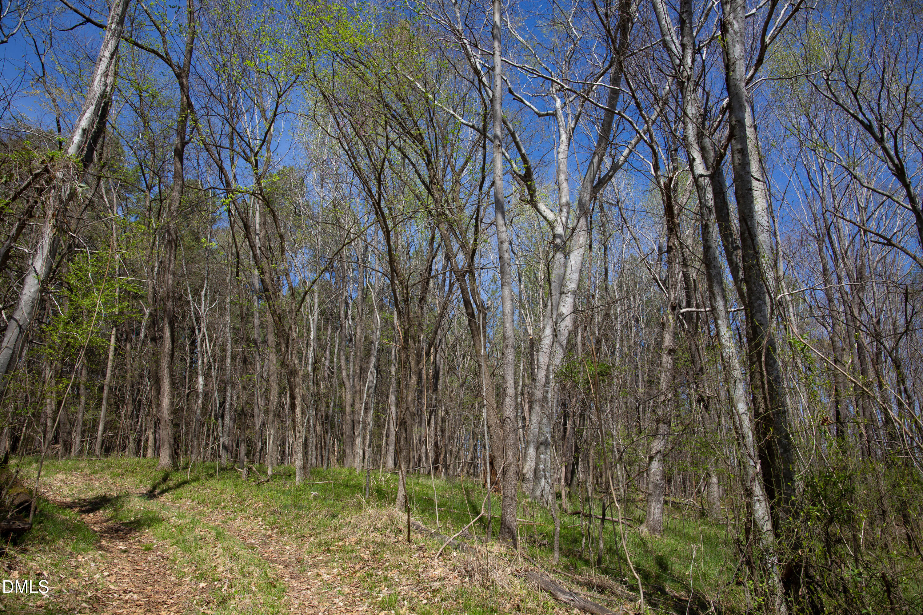 0 Doll Branch Road
