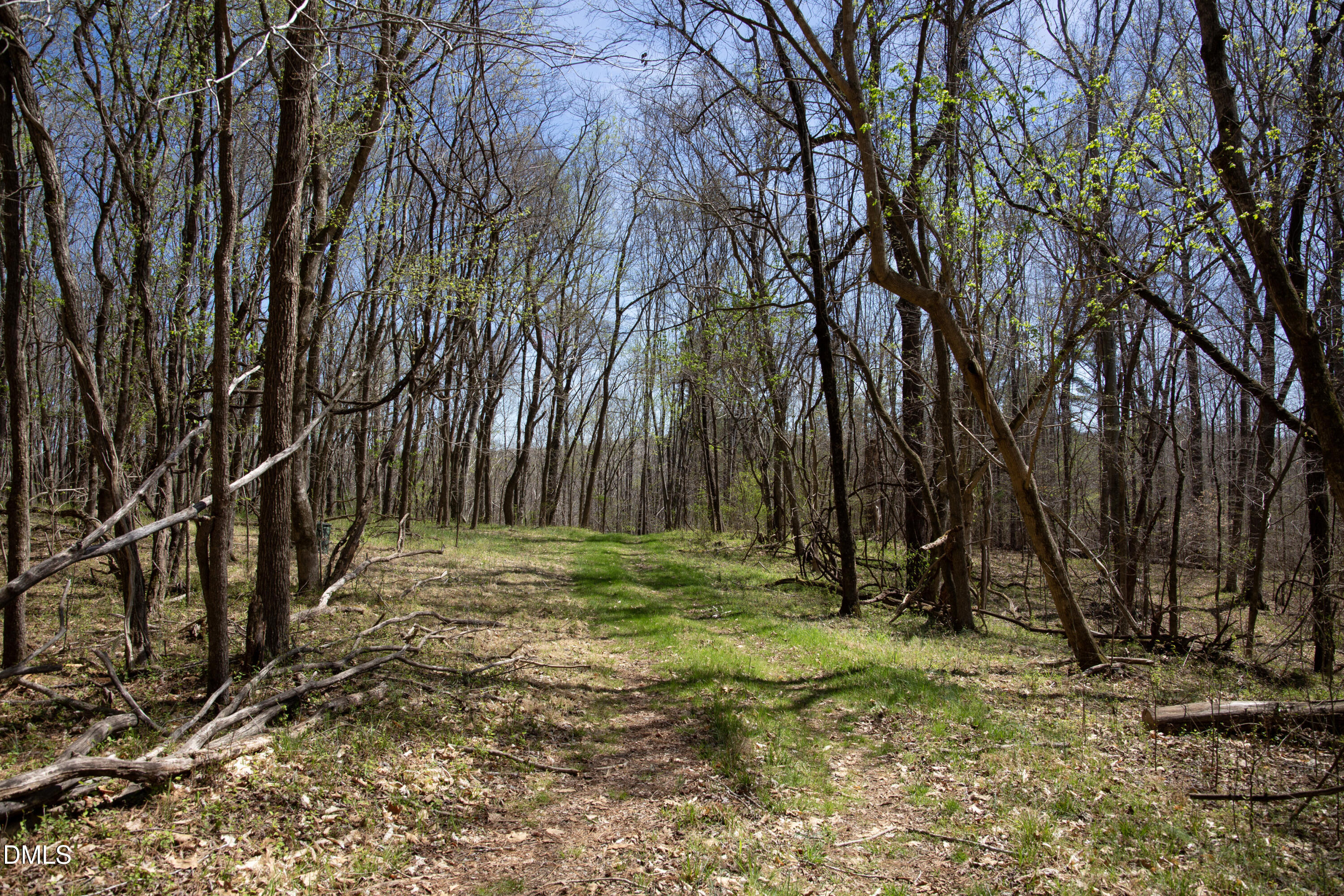 0 Doll Branch Road