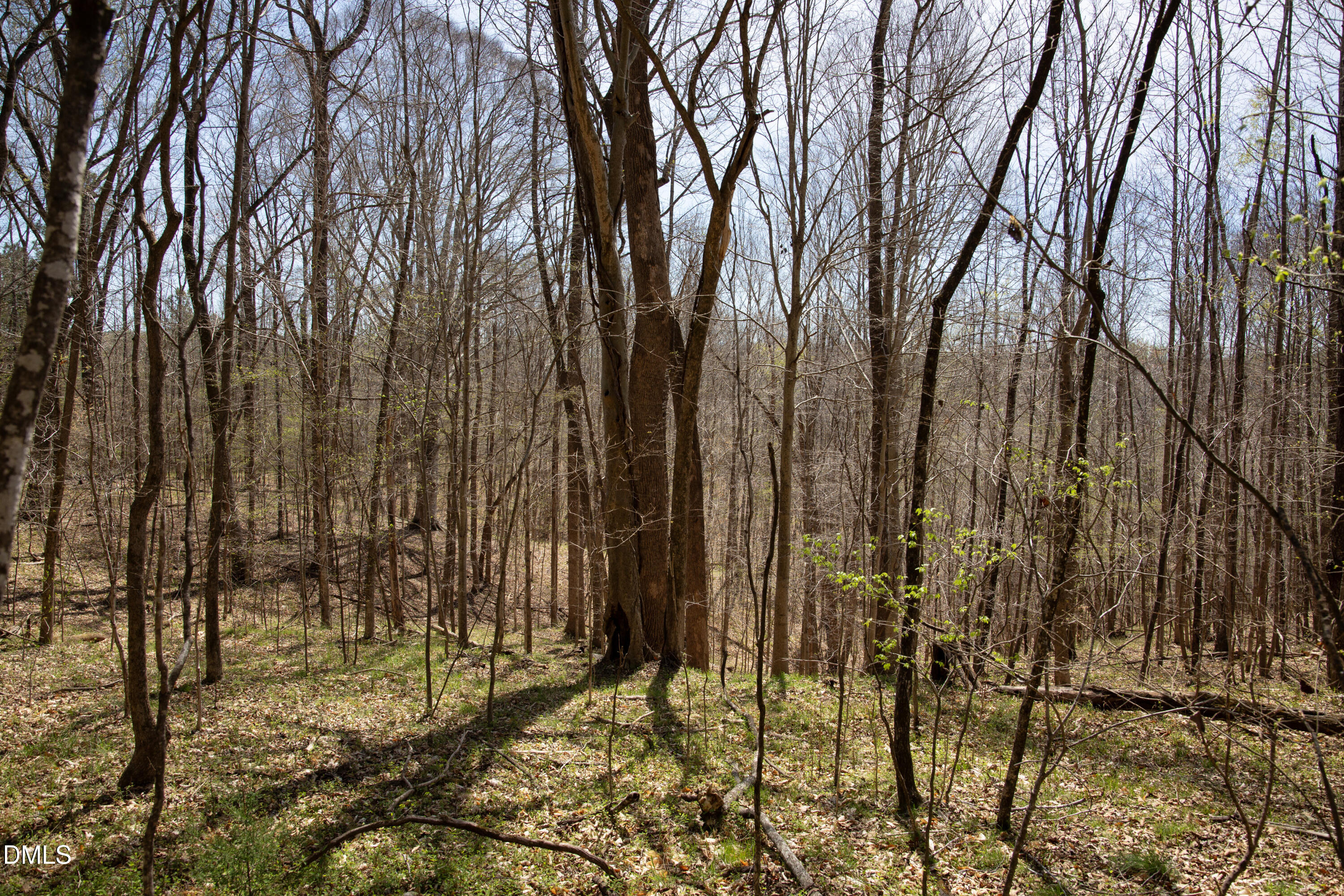 0 Doll Branch Road