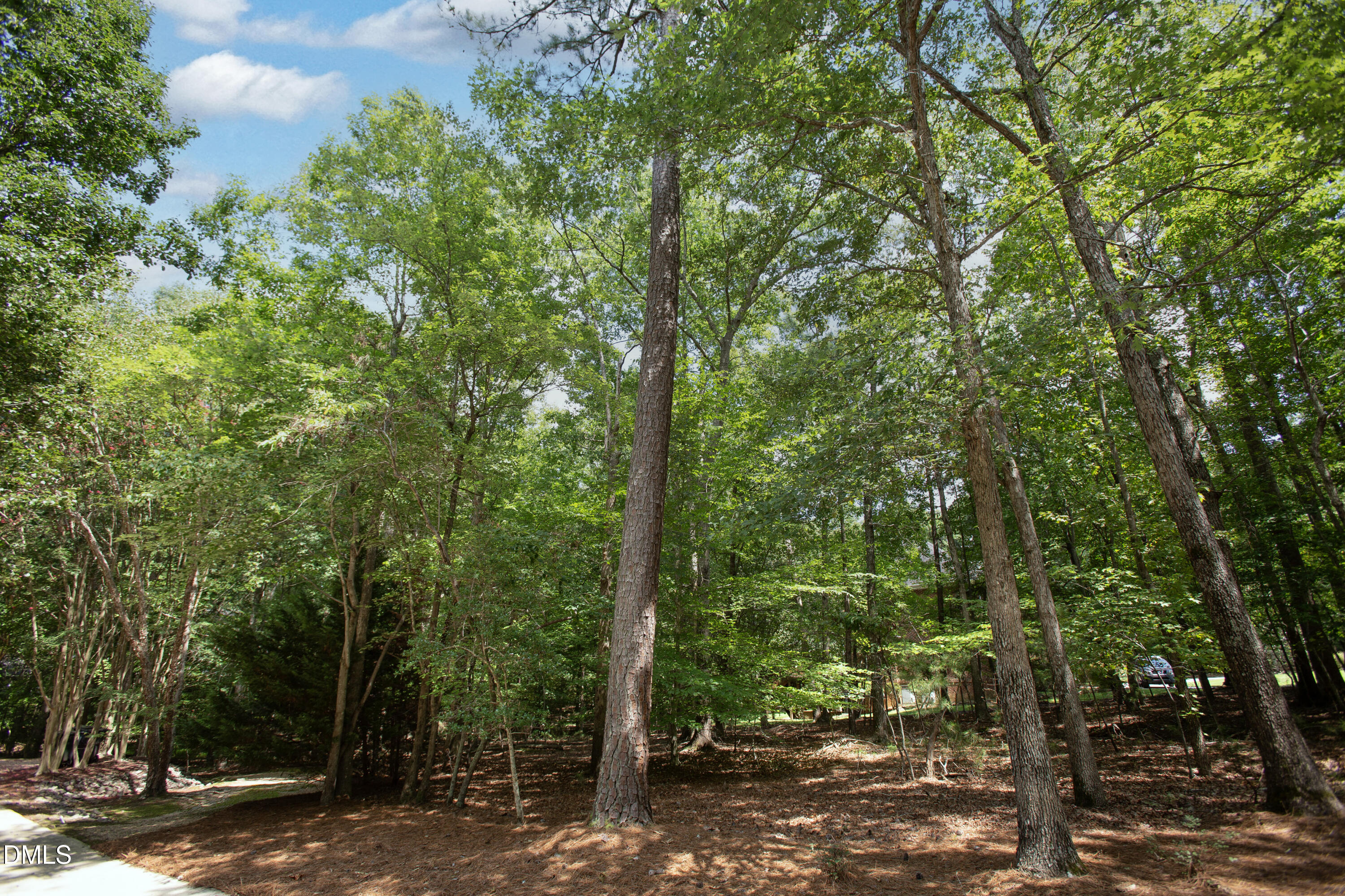 10824 Rondeau Woods Court