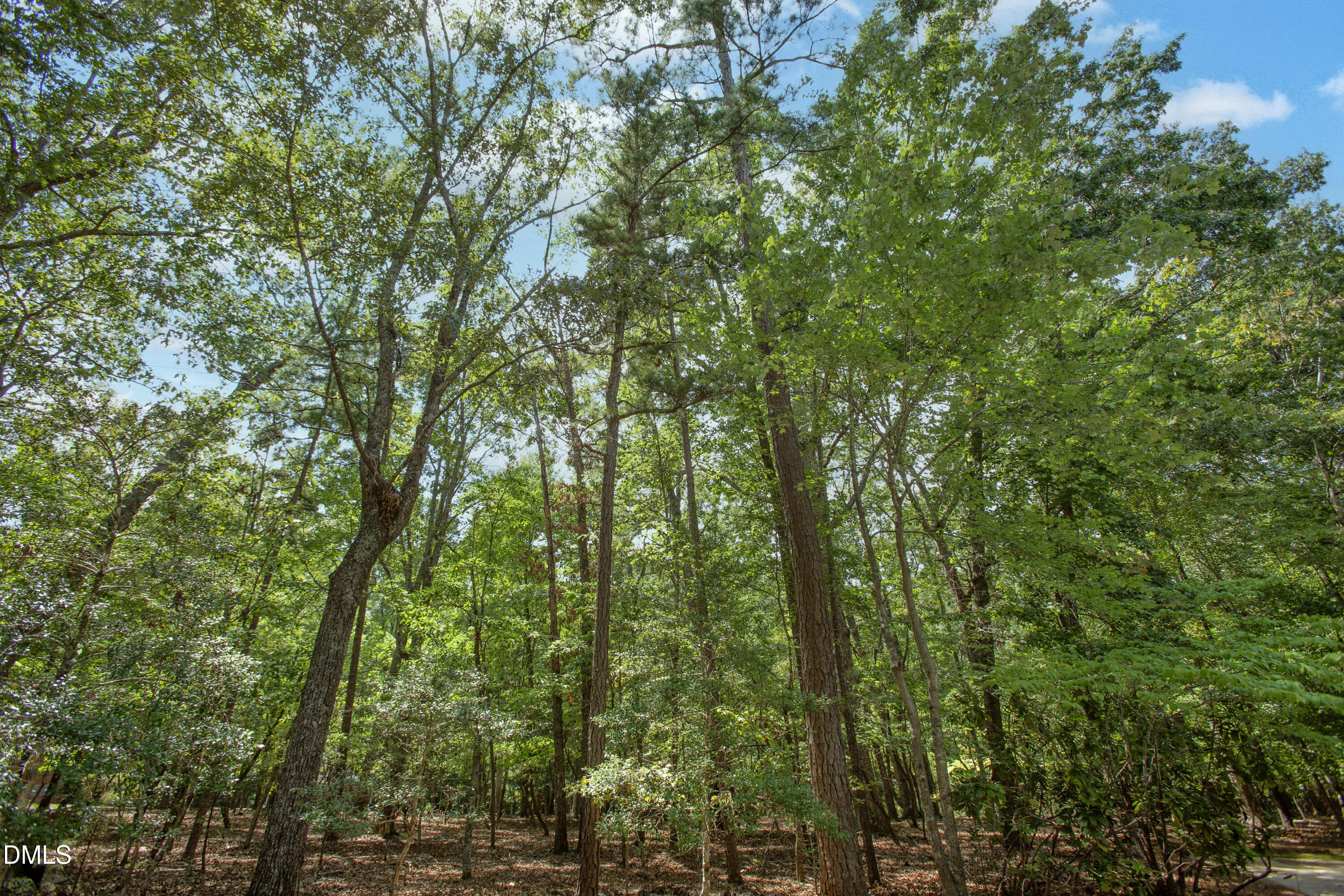 10824 Rondeau Woods Court
