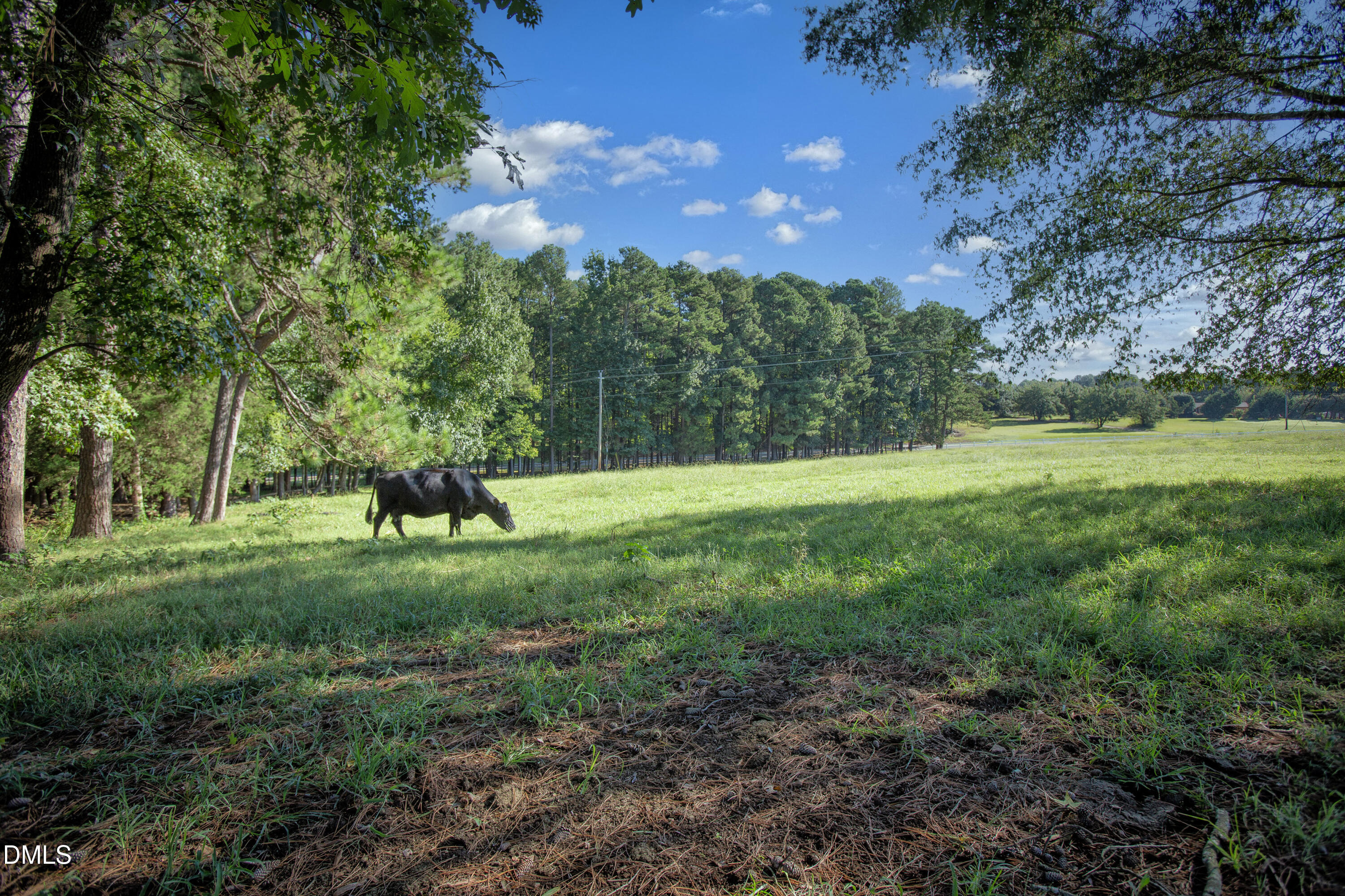 32 Wes Sandling Road