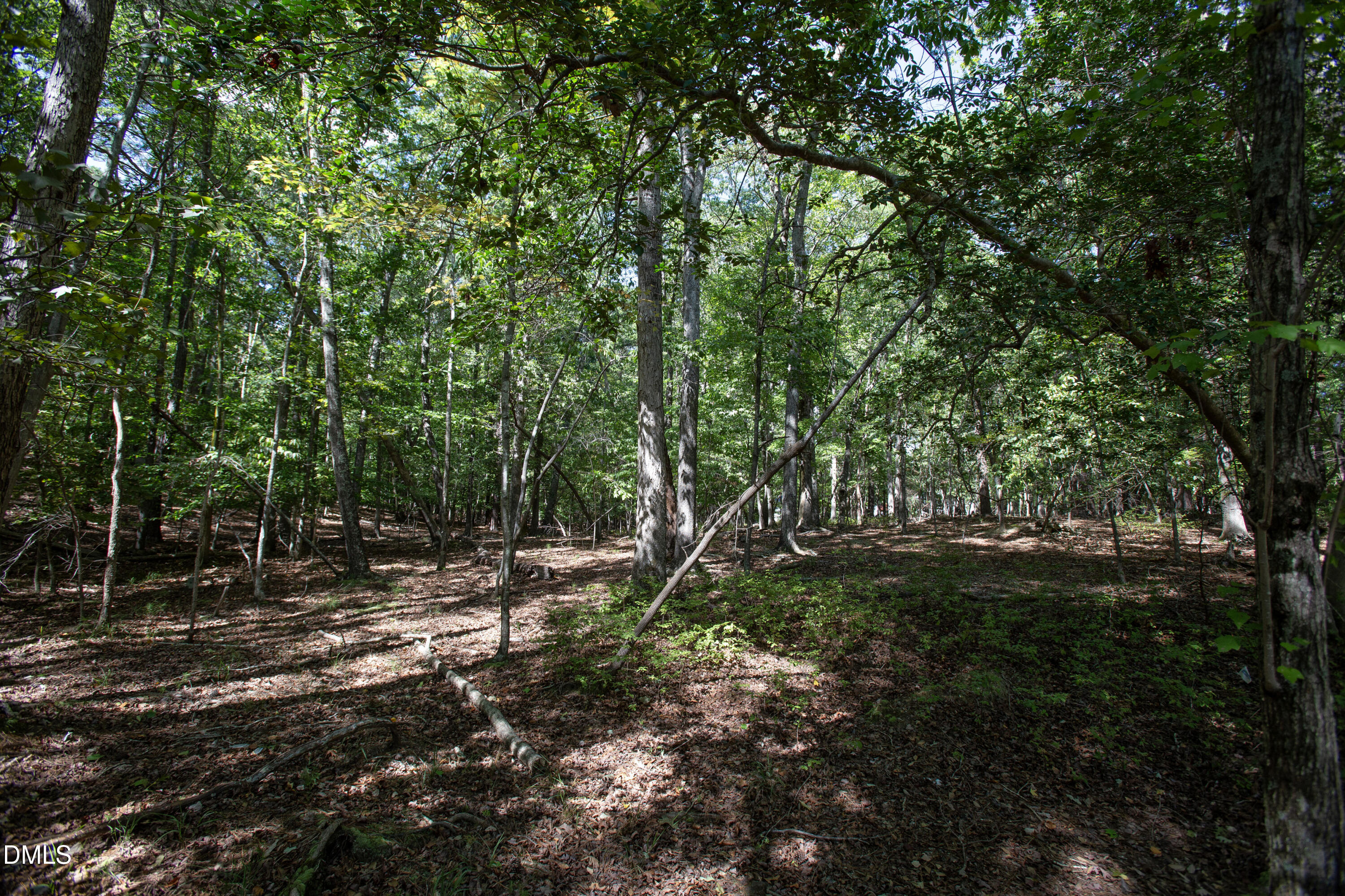1716 Brassfield Road