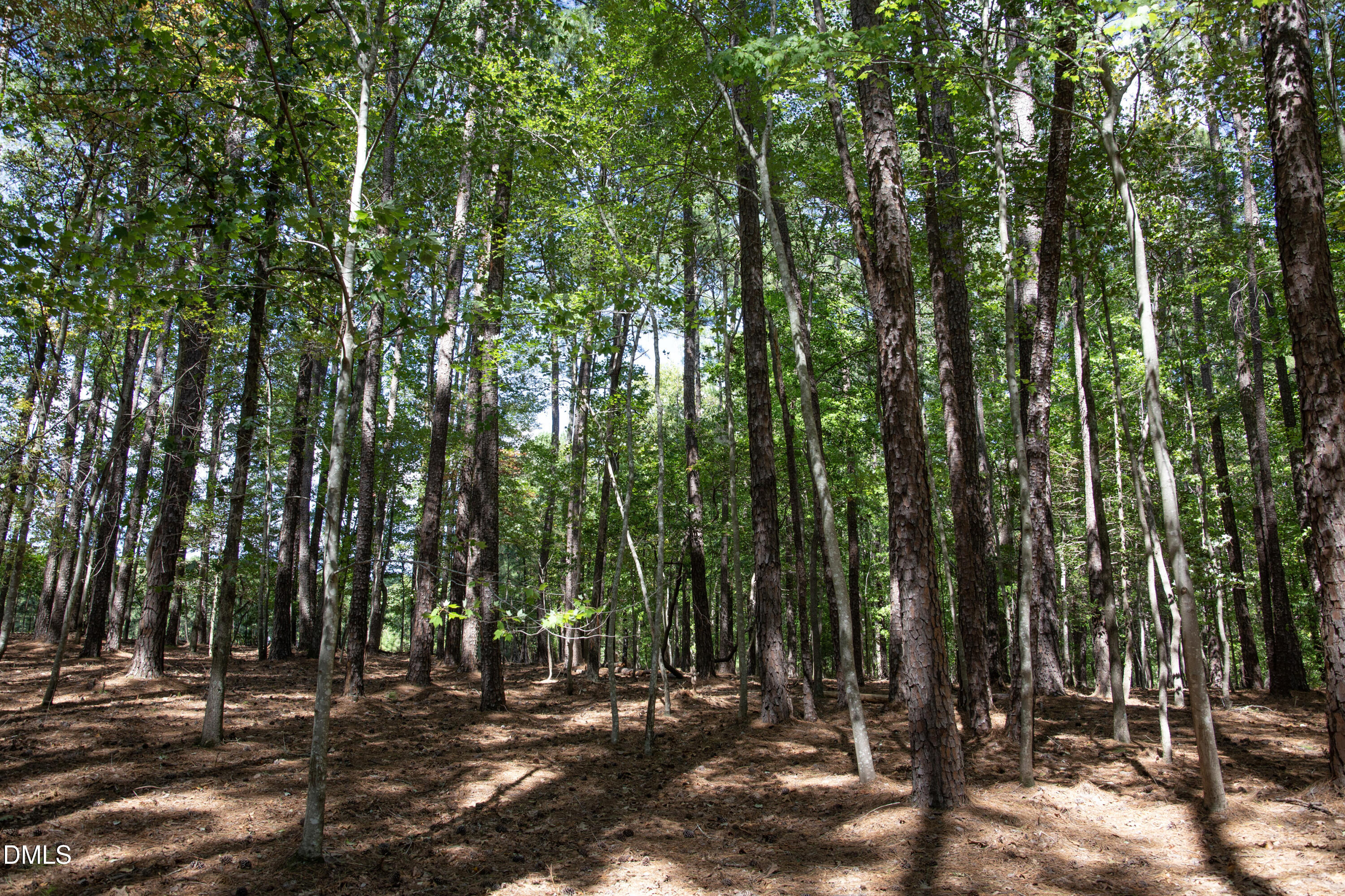 1716 Brassfield Road