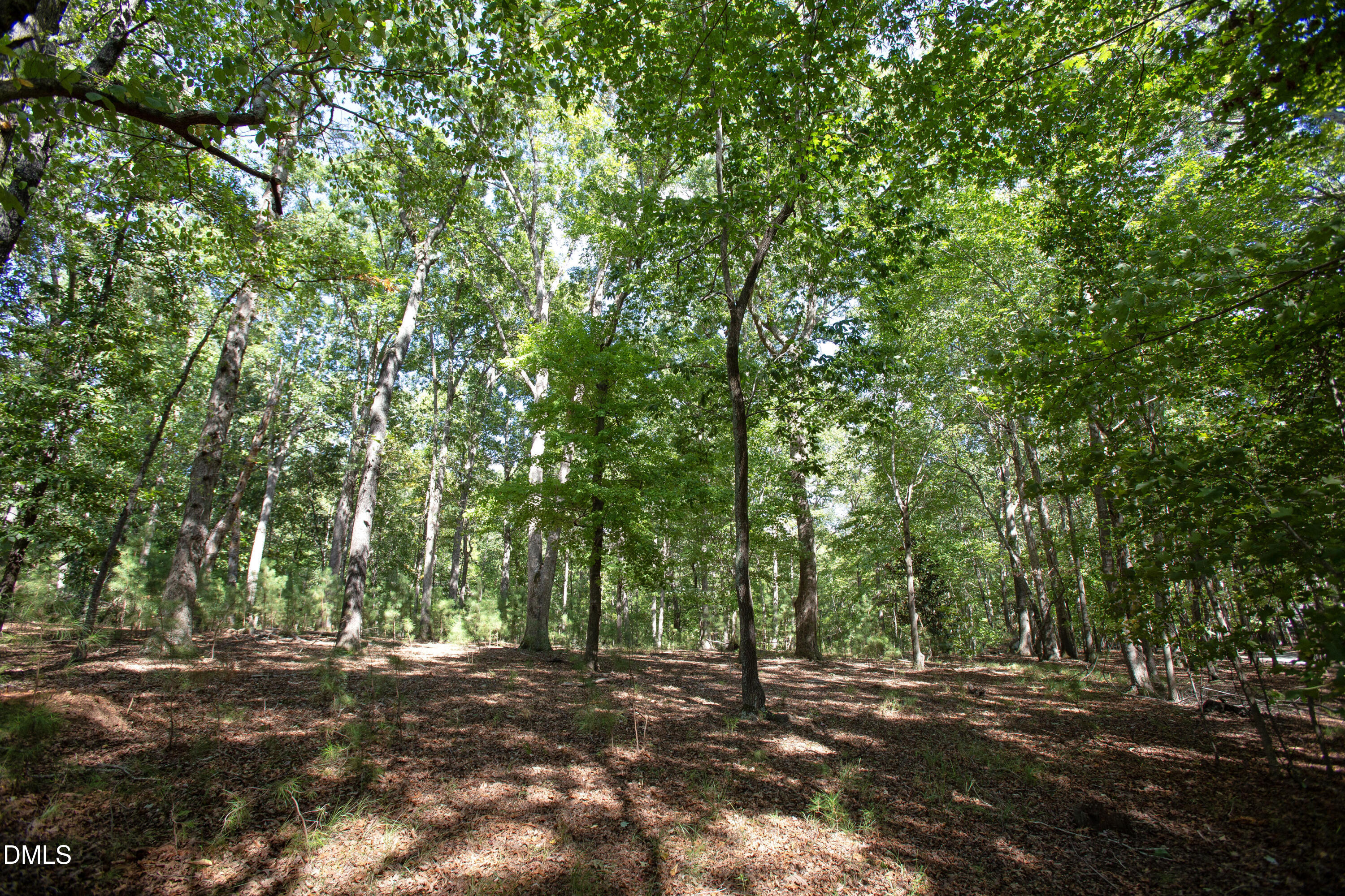 1716 Brassfield Road
