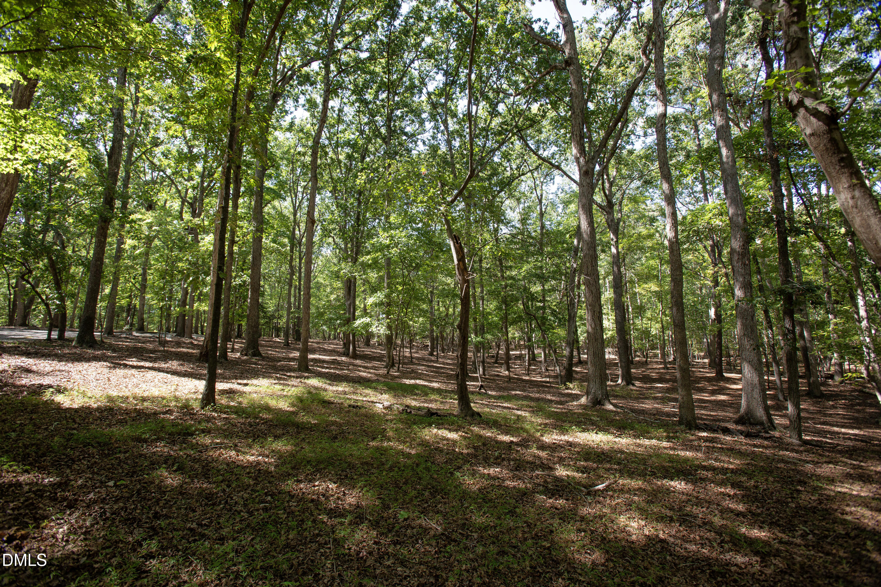 1716 Brassfield Road